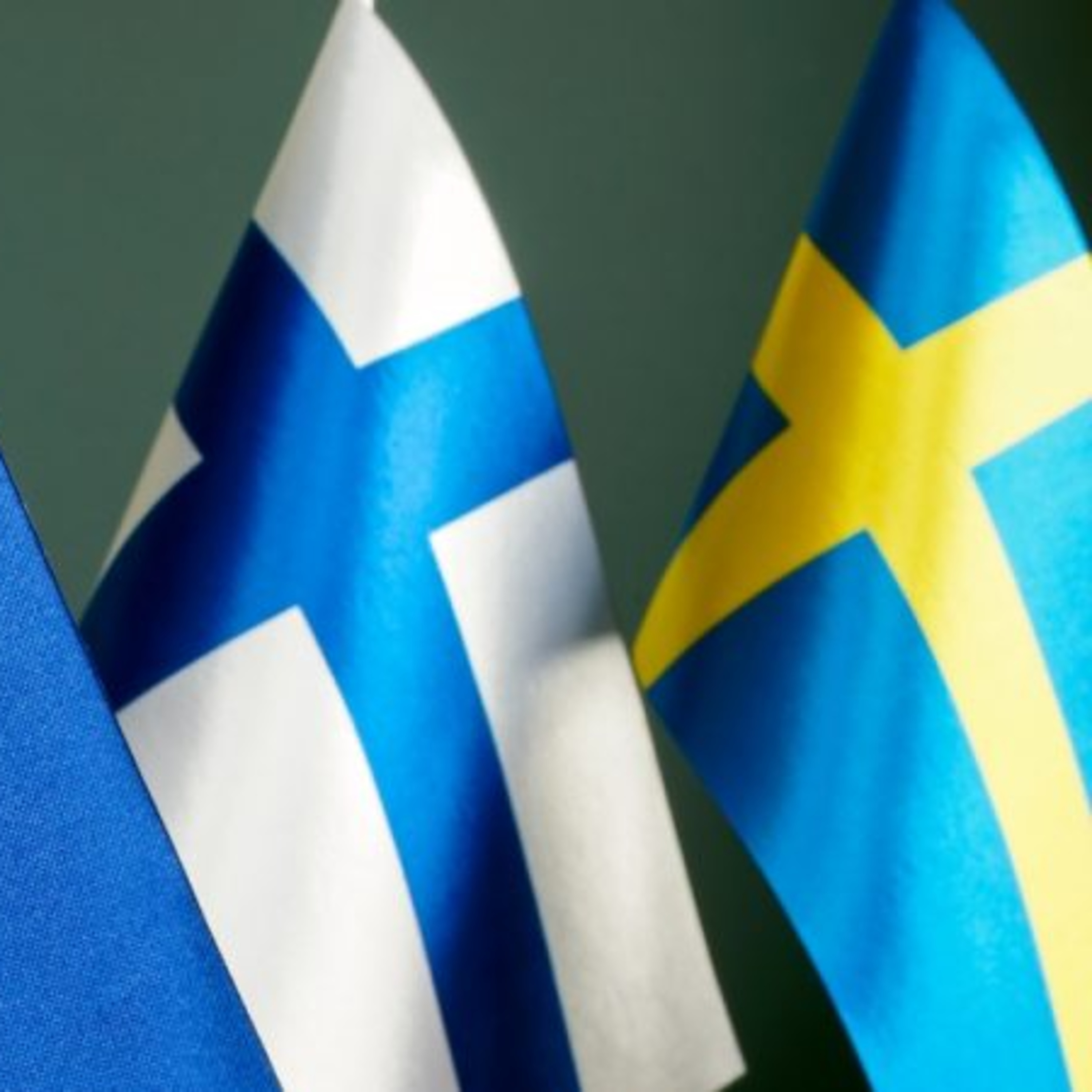 Kết nạp Phần Lan, NATO thu được những nguồn lực quân sự nào?