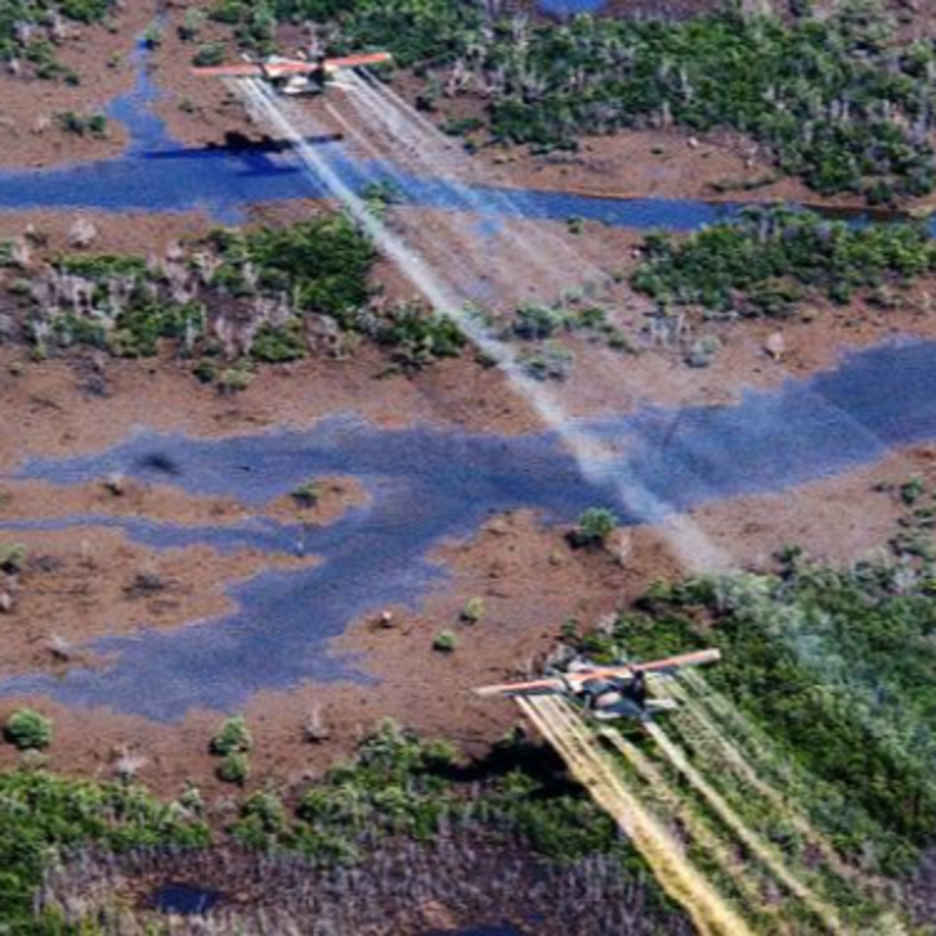 [Vietnam 1967] Những nạn nhân bị lãng quên của chất độc da cam