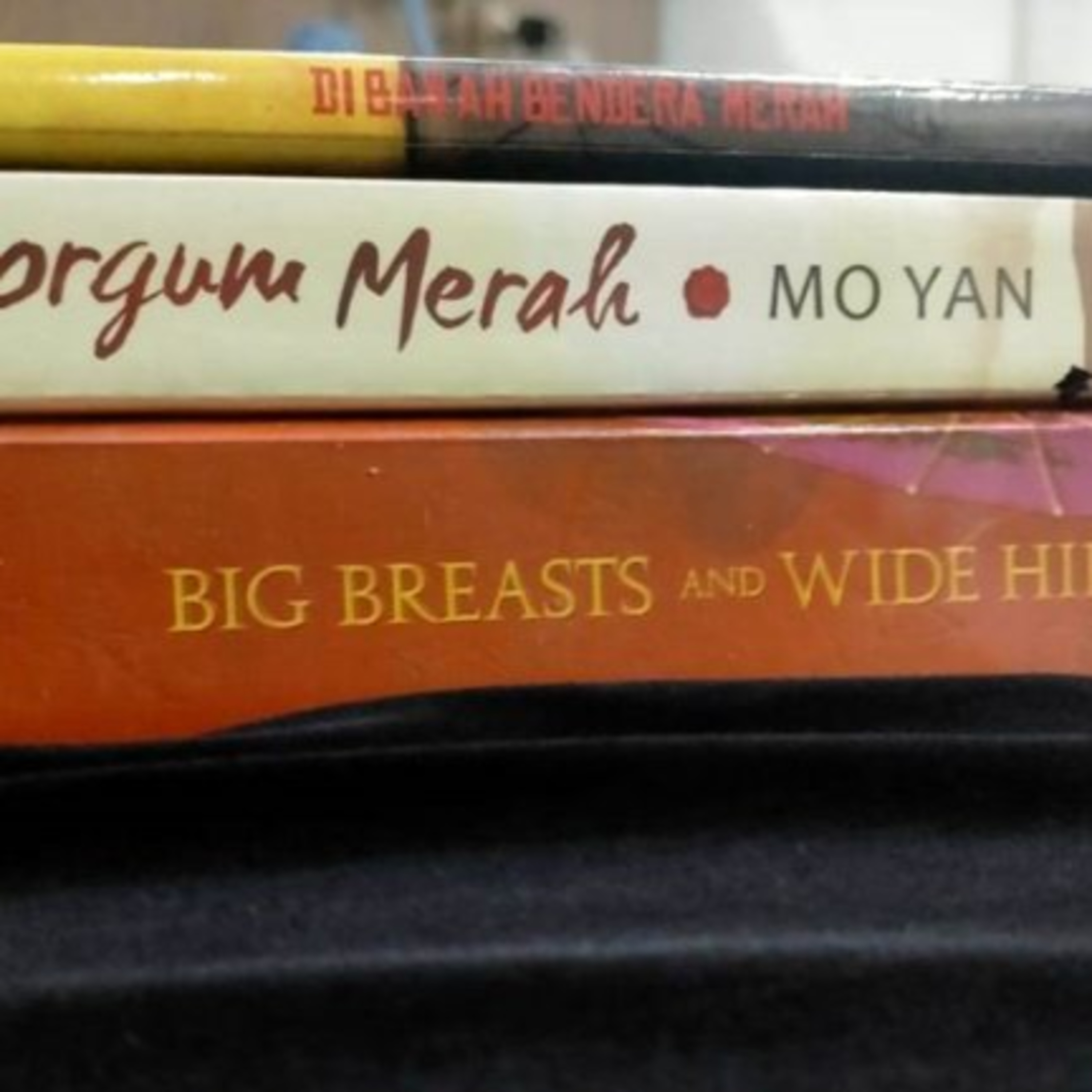 Phiên dịch: “Bà đỡ” của văn học Trung Quốc