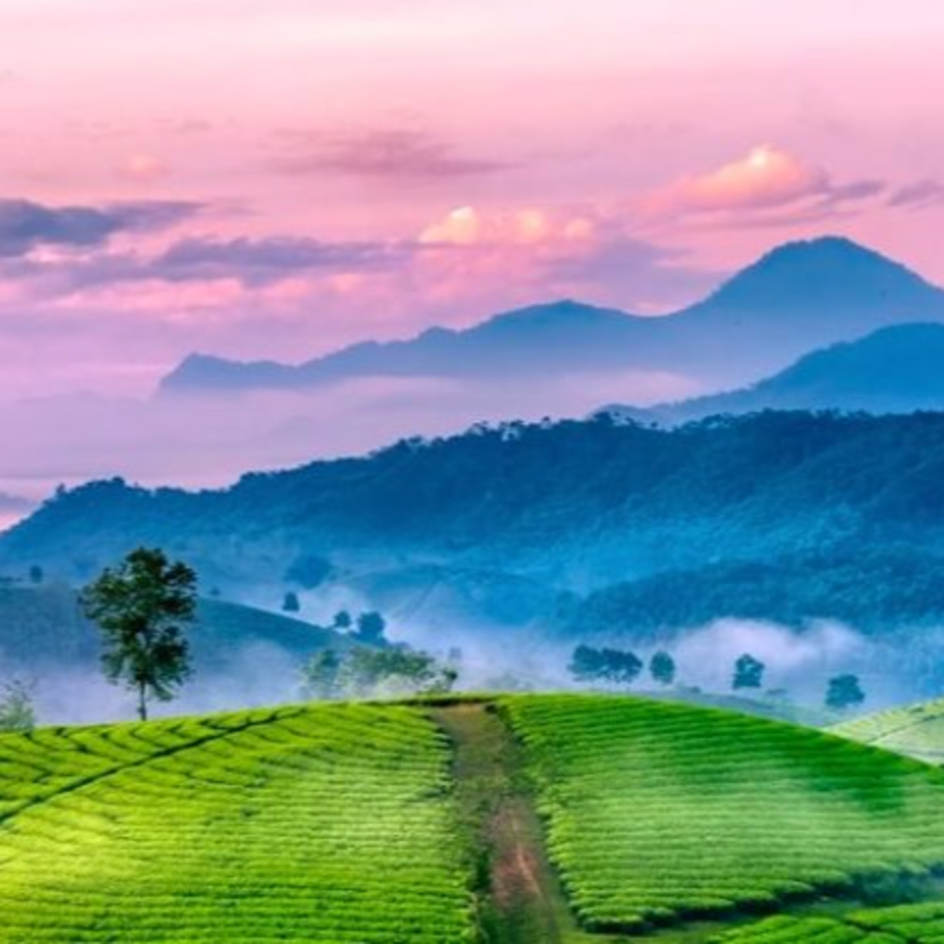 Vấn đề biên giới tiếp giáp giữa Tây Bắc Việt Nam và Trung Quốc