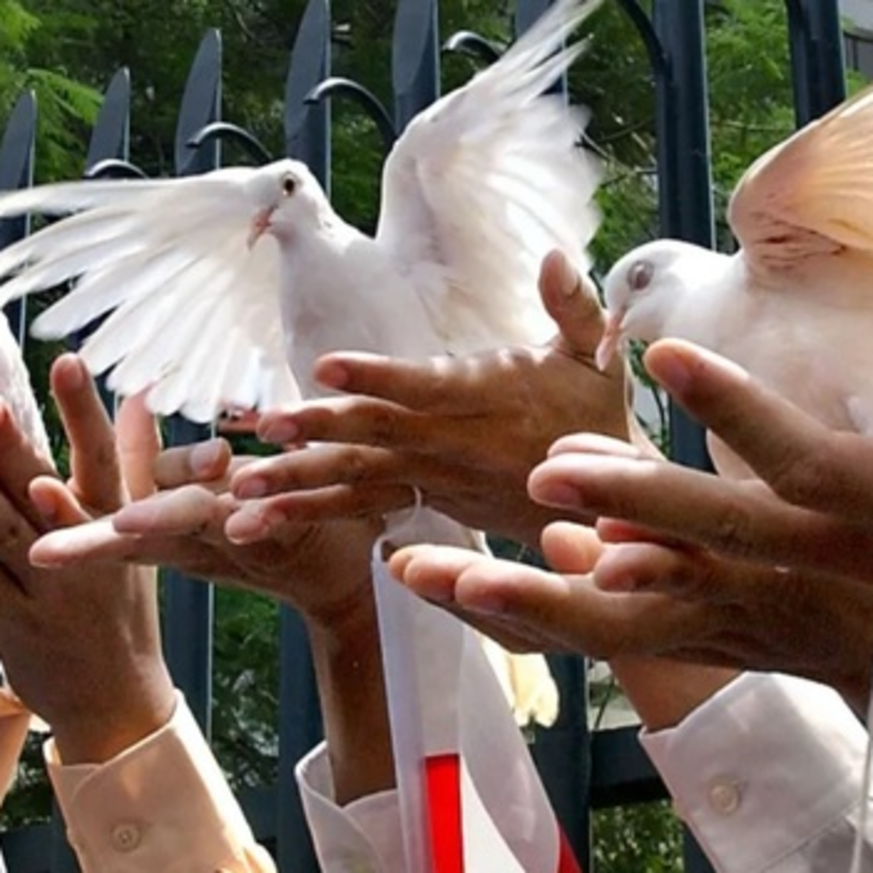 Tại sao đạo đức là kẻ thù của hòa bình?