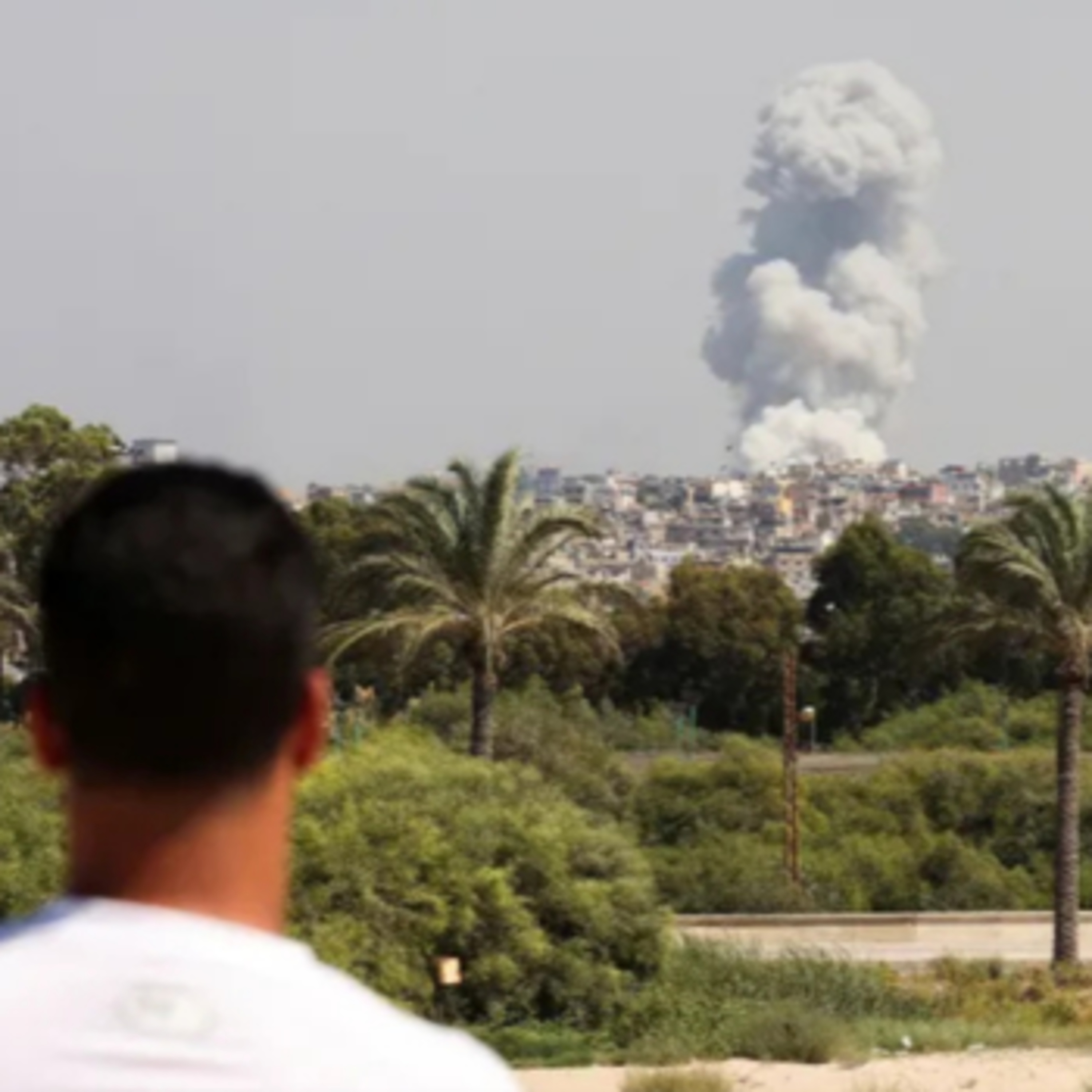 Chiến tranh xảy ra không phải do tai nạn