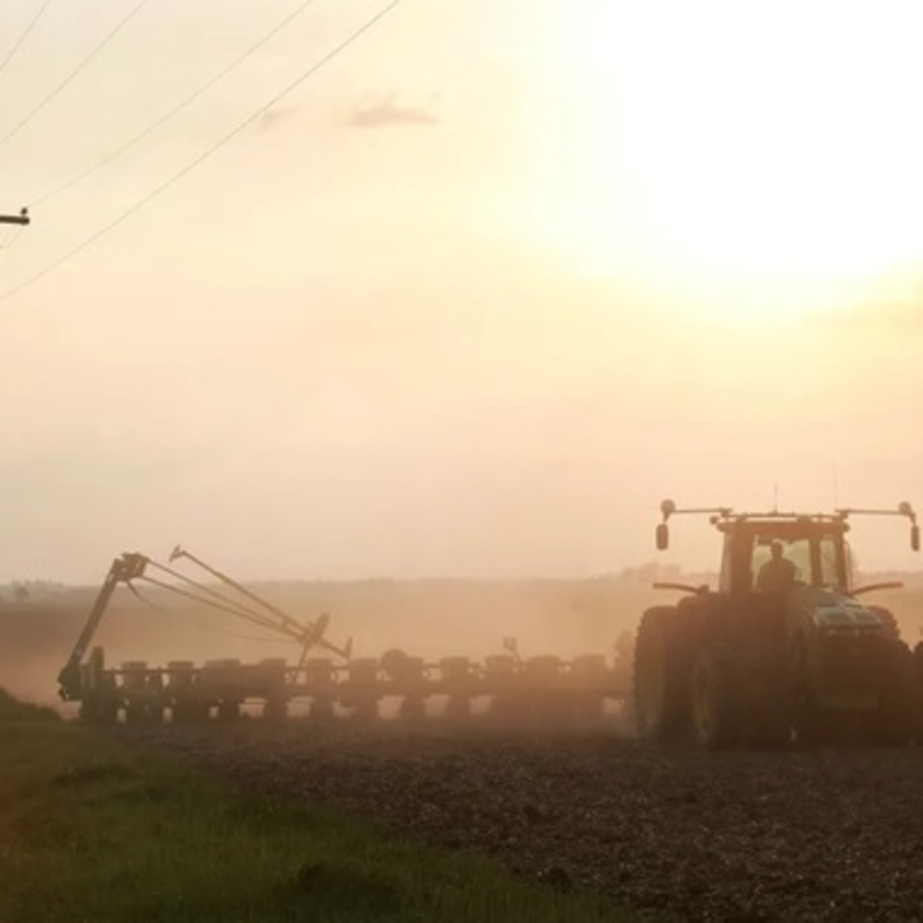 Nguy cơ Trung Quốc khủng bố nông nghiệp nhắm vào Mỹ?