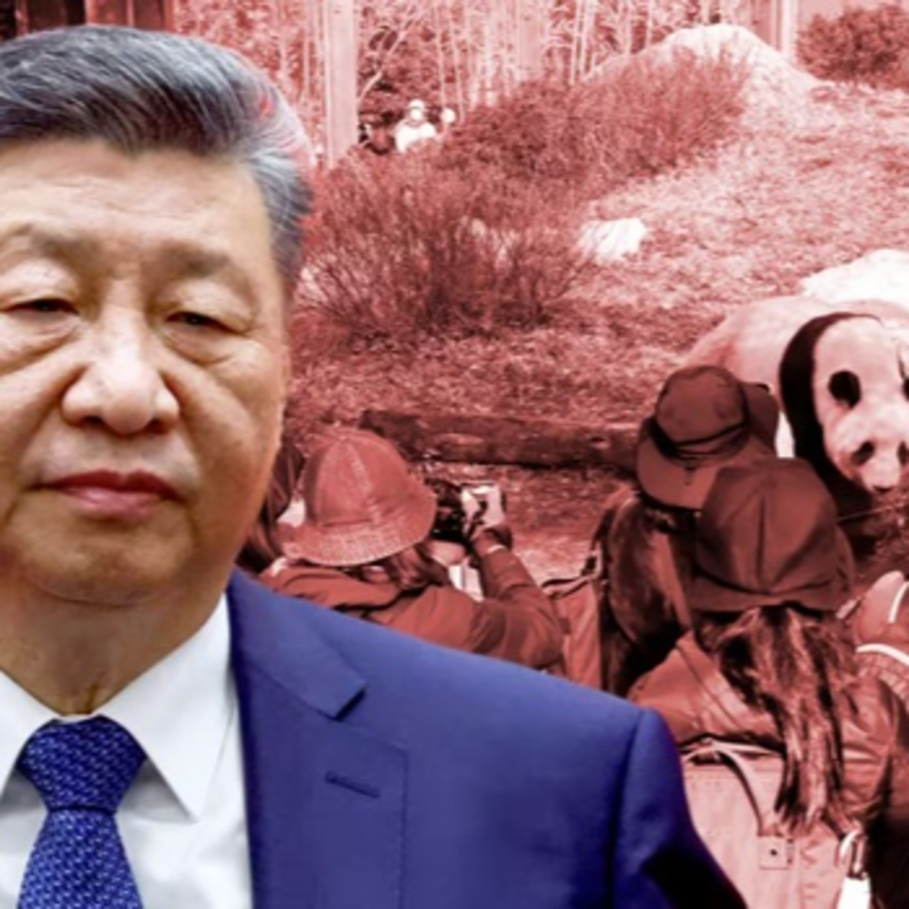 Ngoại giao gấu trúc của Trung Quốc: Xưa và nay