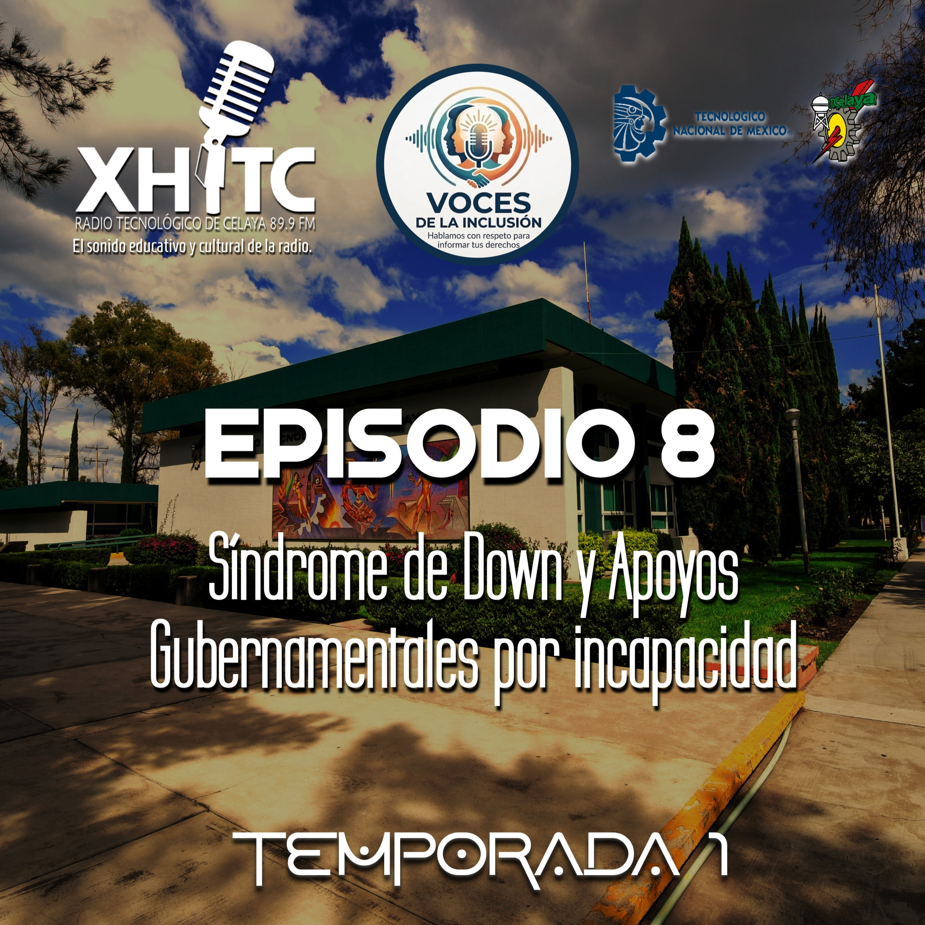 Episodio 8 T1 Voces de la inclusión - Síndrome de down y apoyos gubernamentales por incapacidad episode artwork
