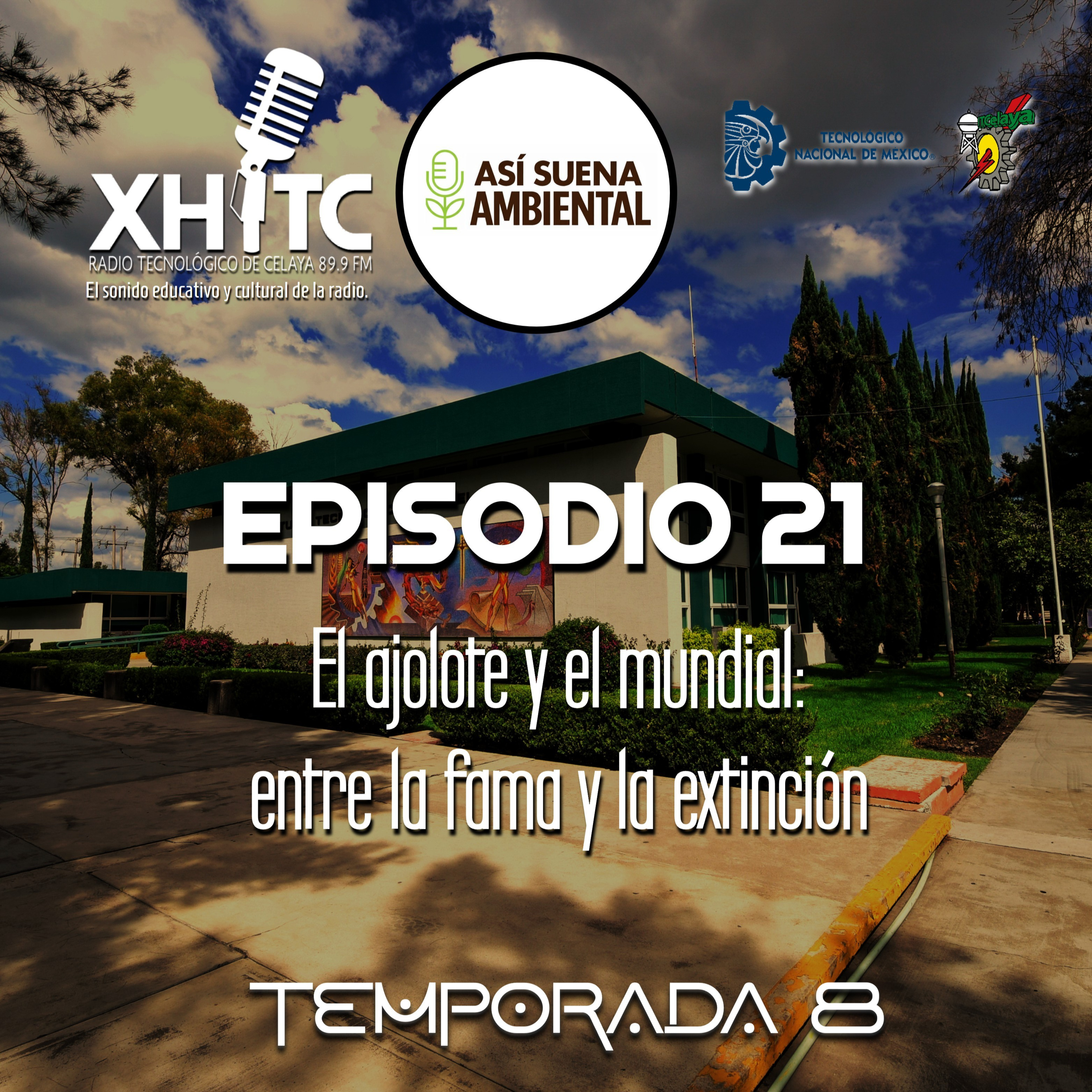 Episodio 21 T8 Así suena ambiental - El ajolote y el mundial: entre la fama y la extinción episode artwork