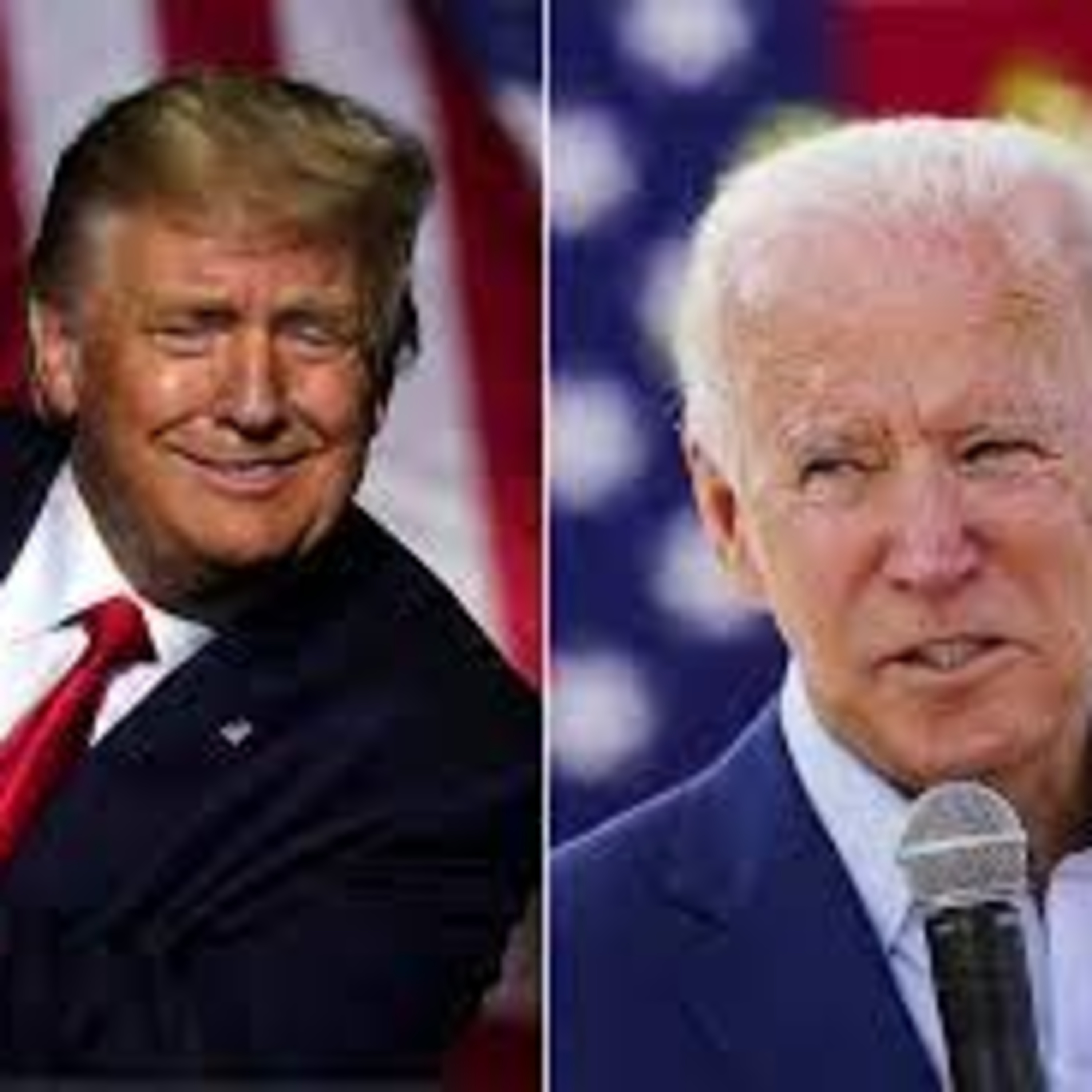 Really? The Oligarchs and the Media Have Picked Sleepy-Joe and BLM (Big-Lie Man) for America episode artwork