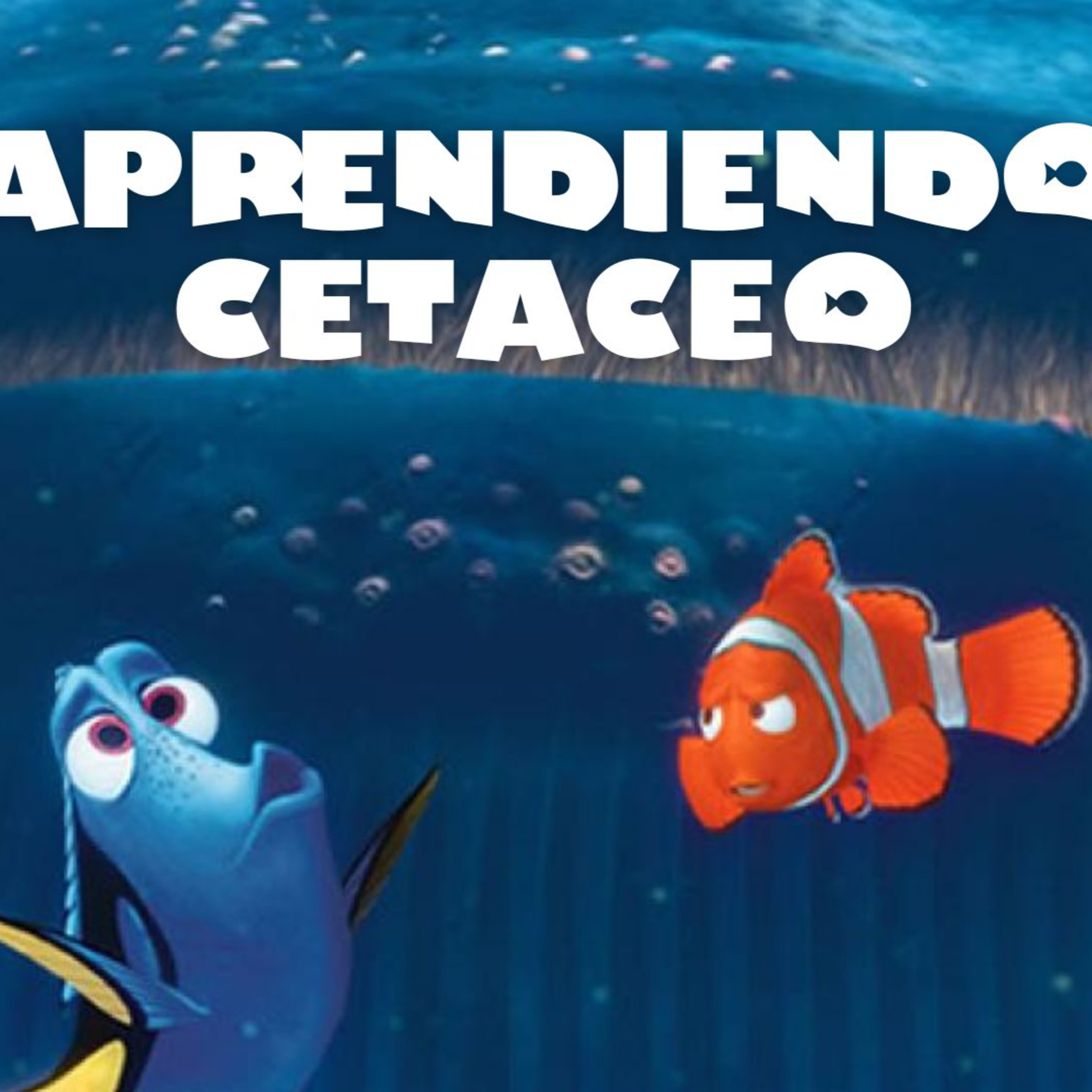 Aprendiendo cetáceo episode artwork