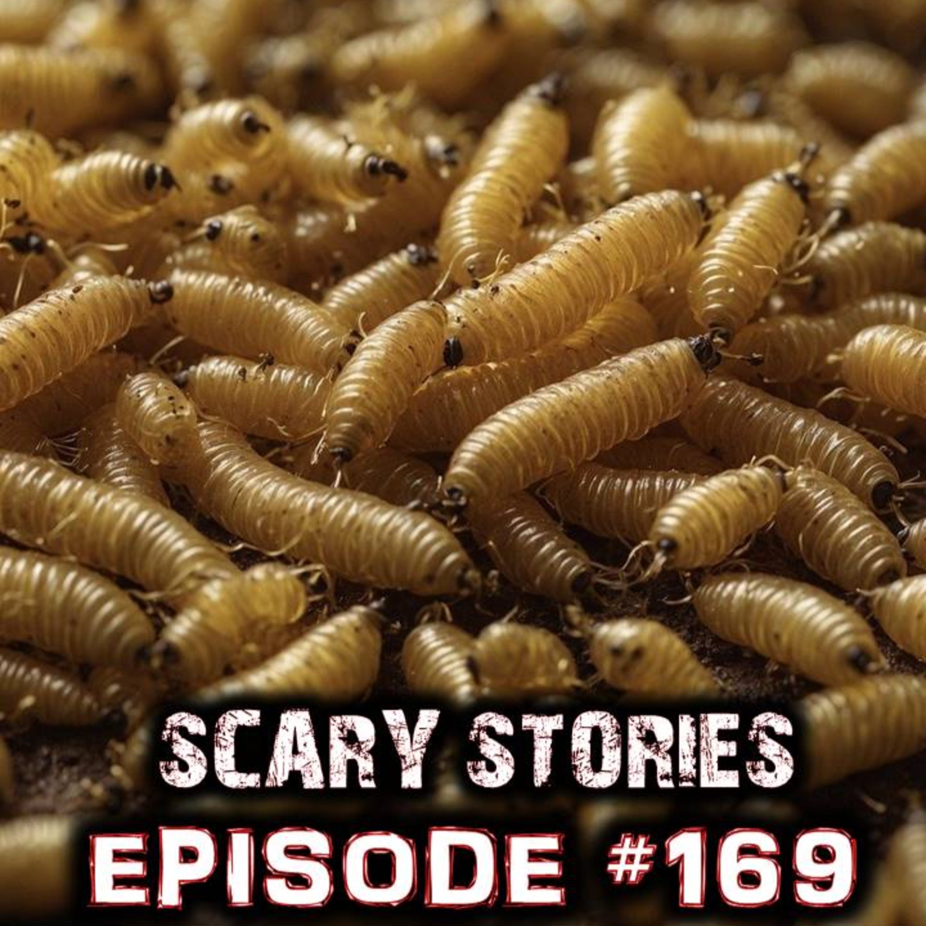 Maniac on the Loose Scary Stories