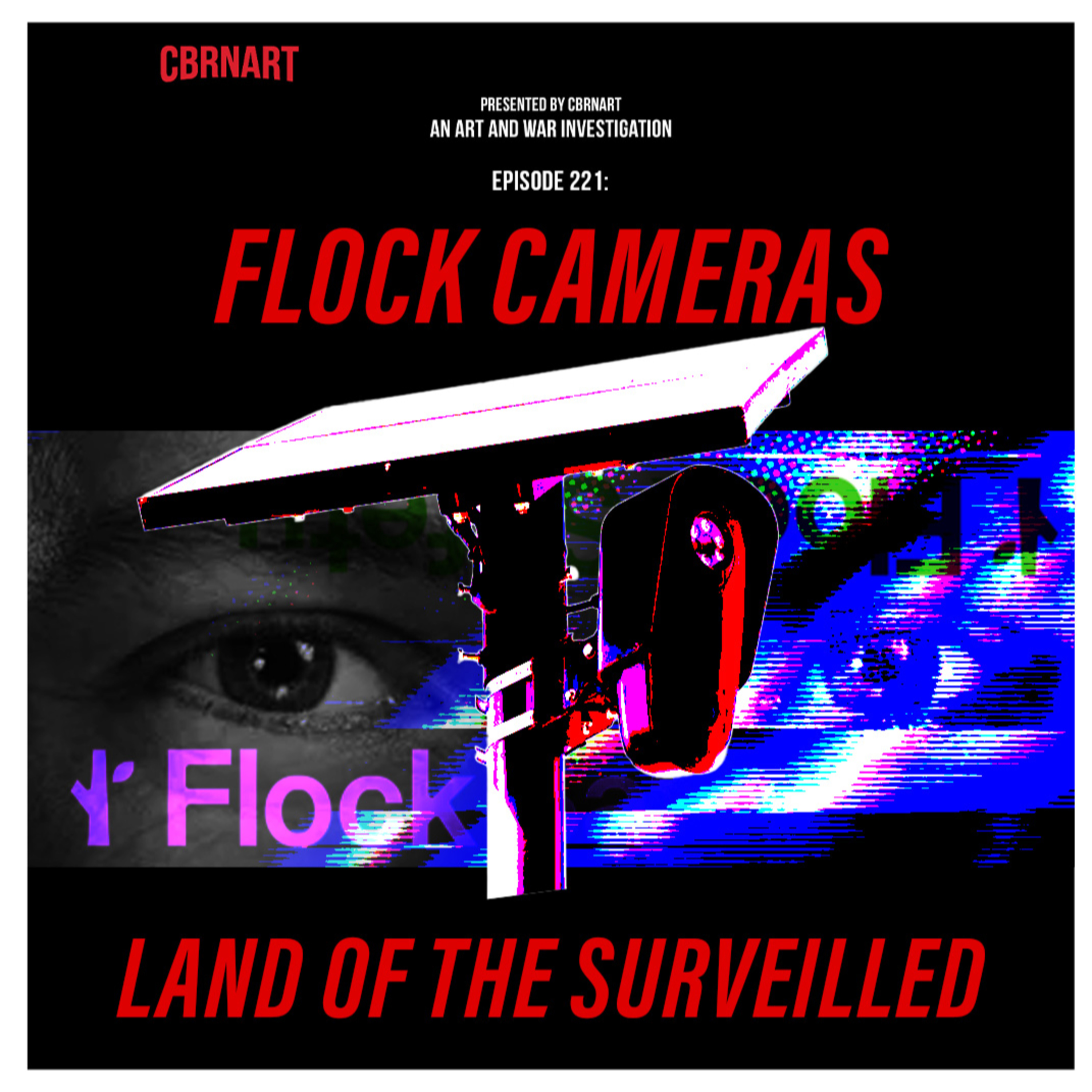 221: Flock Safety - Land of the Surveilled