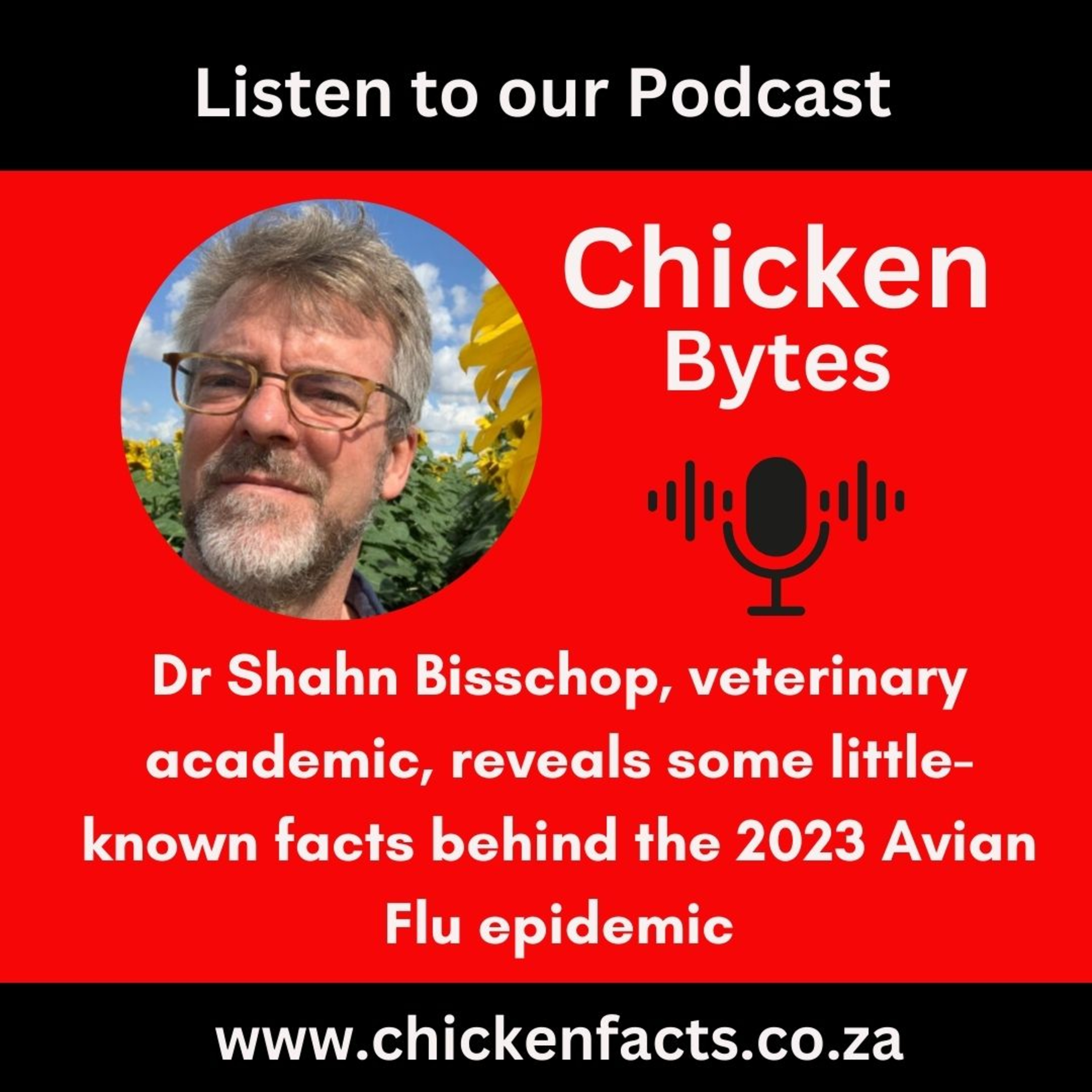 ChickenBytes