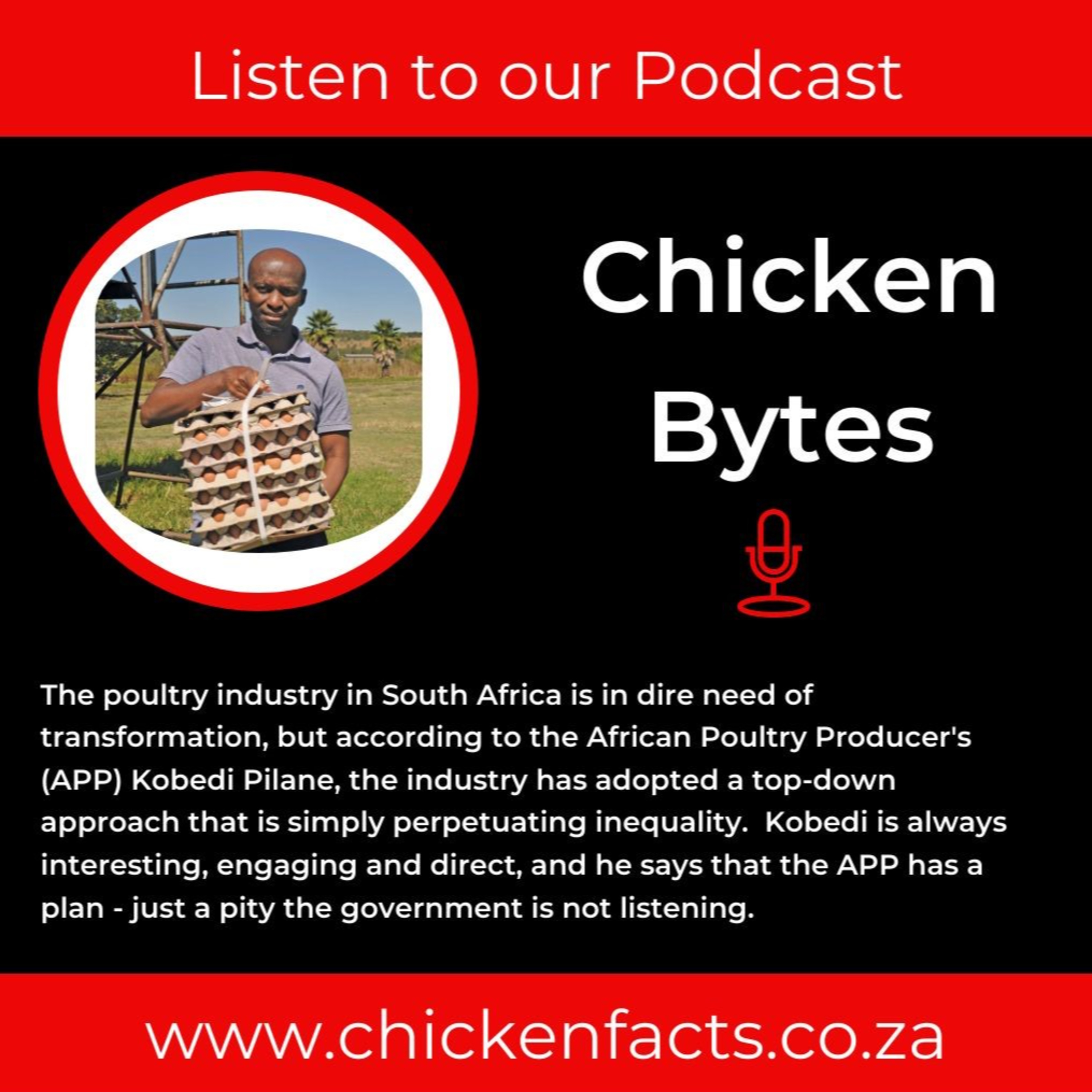 ChickenBytes