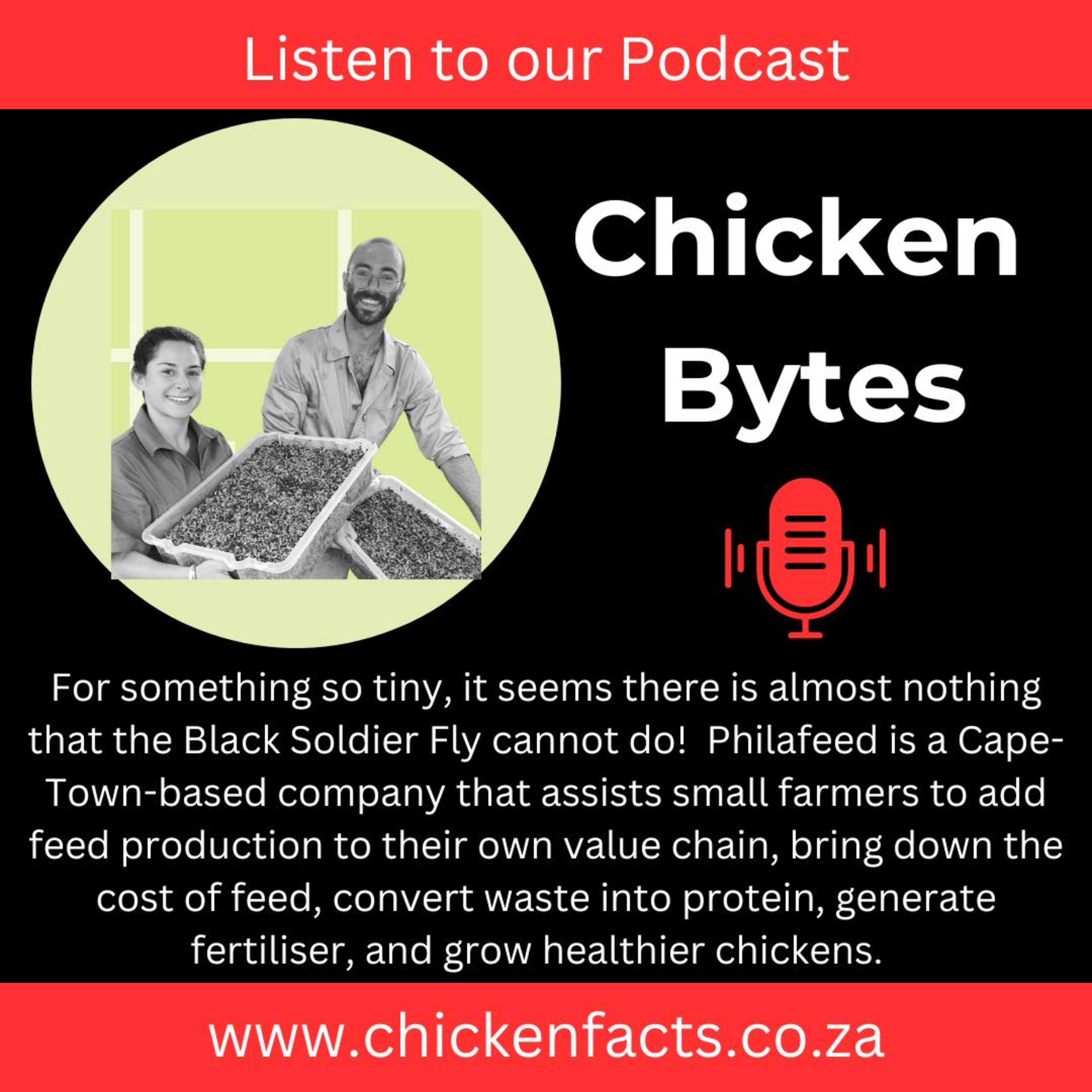 ChickenBytes