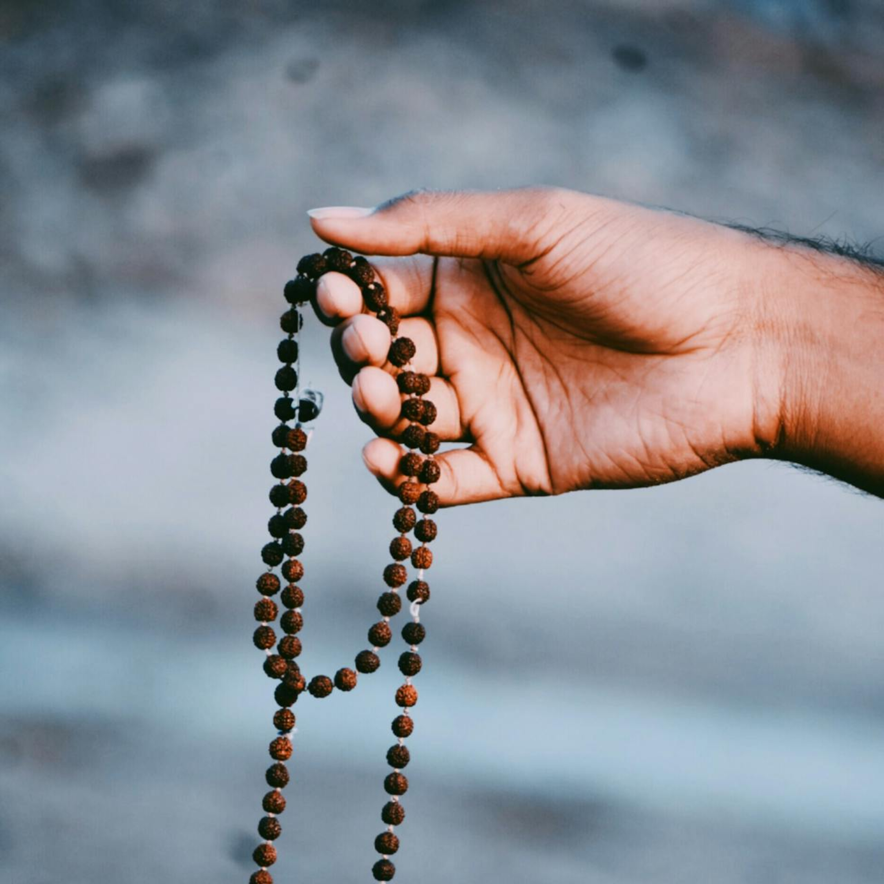 Nhân quả, tư duy hệ thống, và vòng lặp của số phận