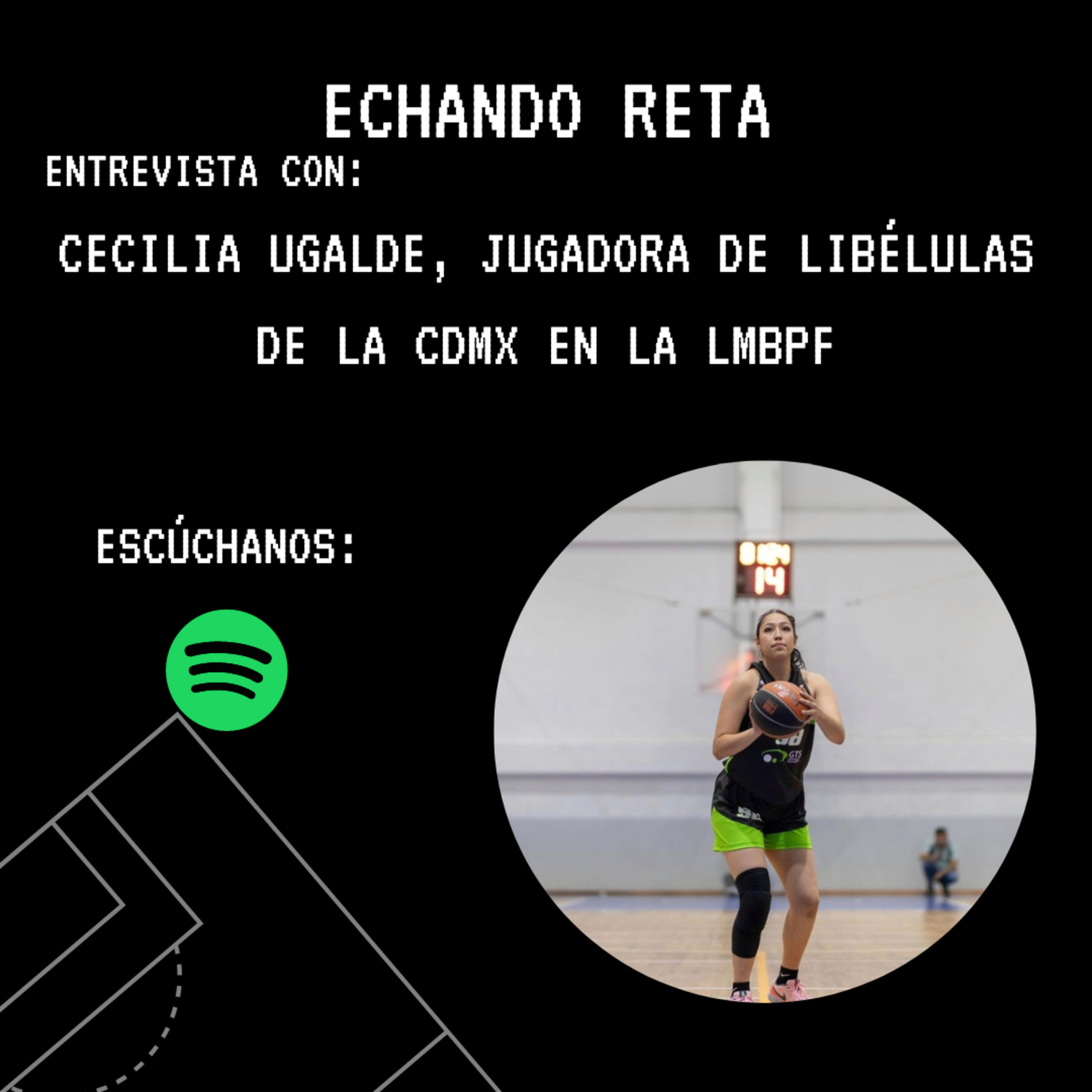 Echando Reta