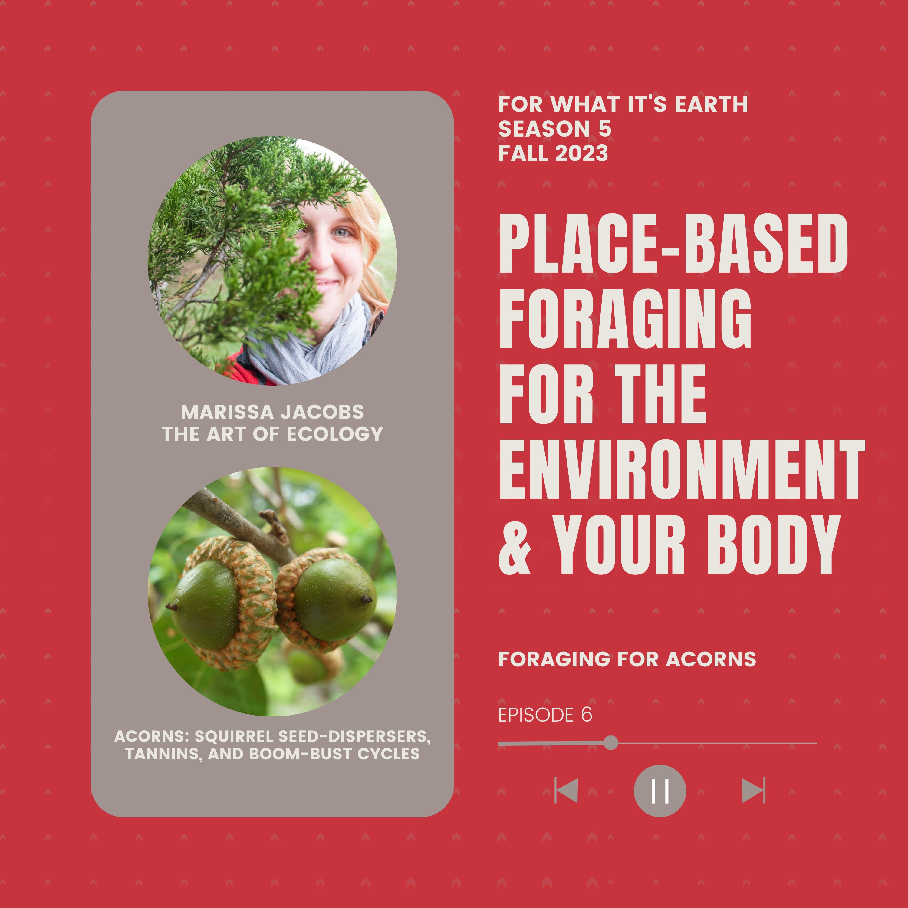 For What It\'s Earth