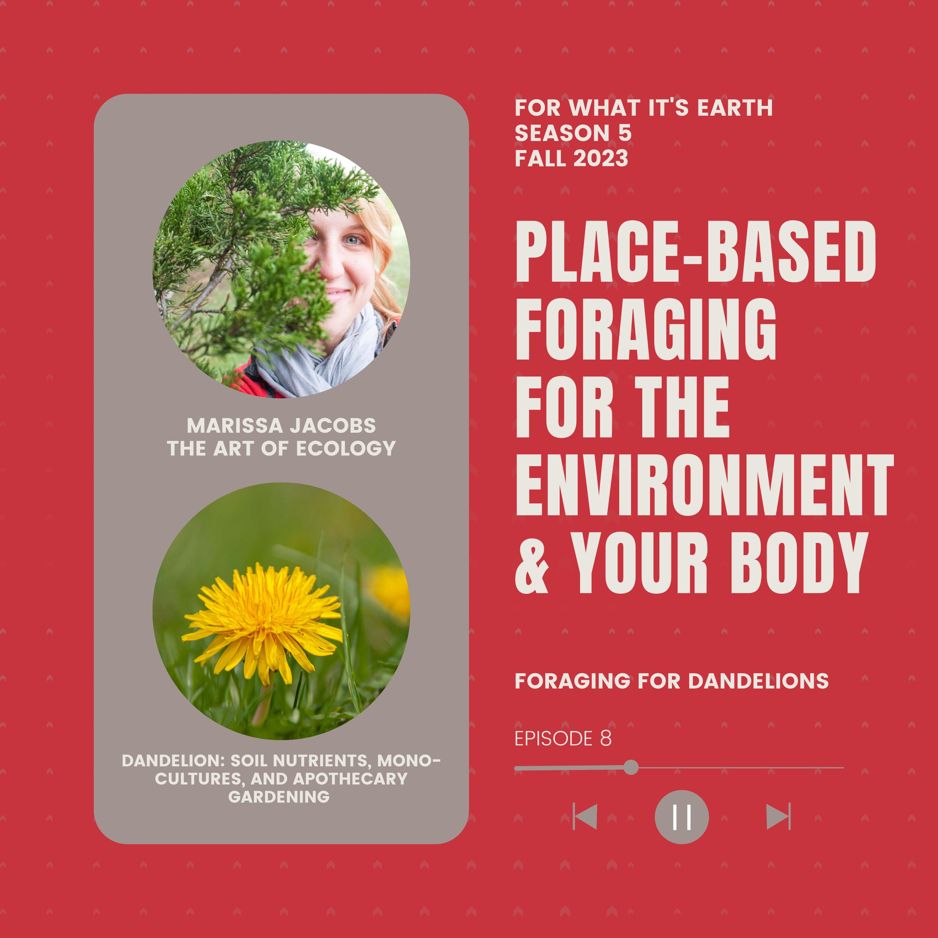 For What It\'s Earth