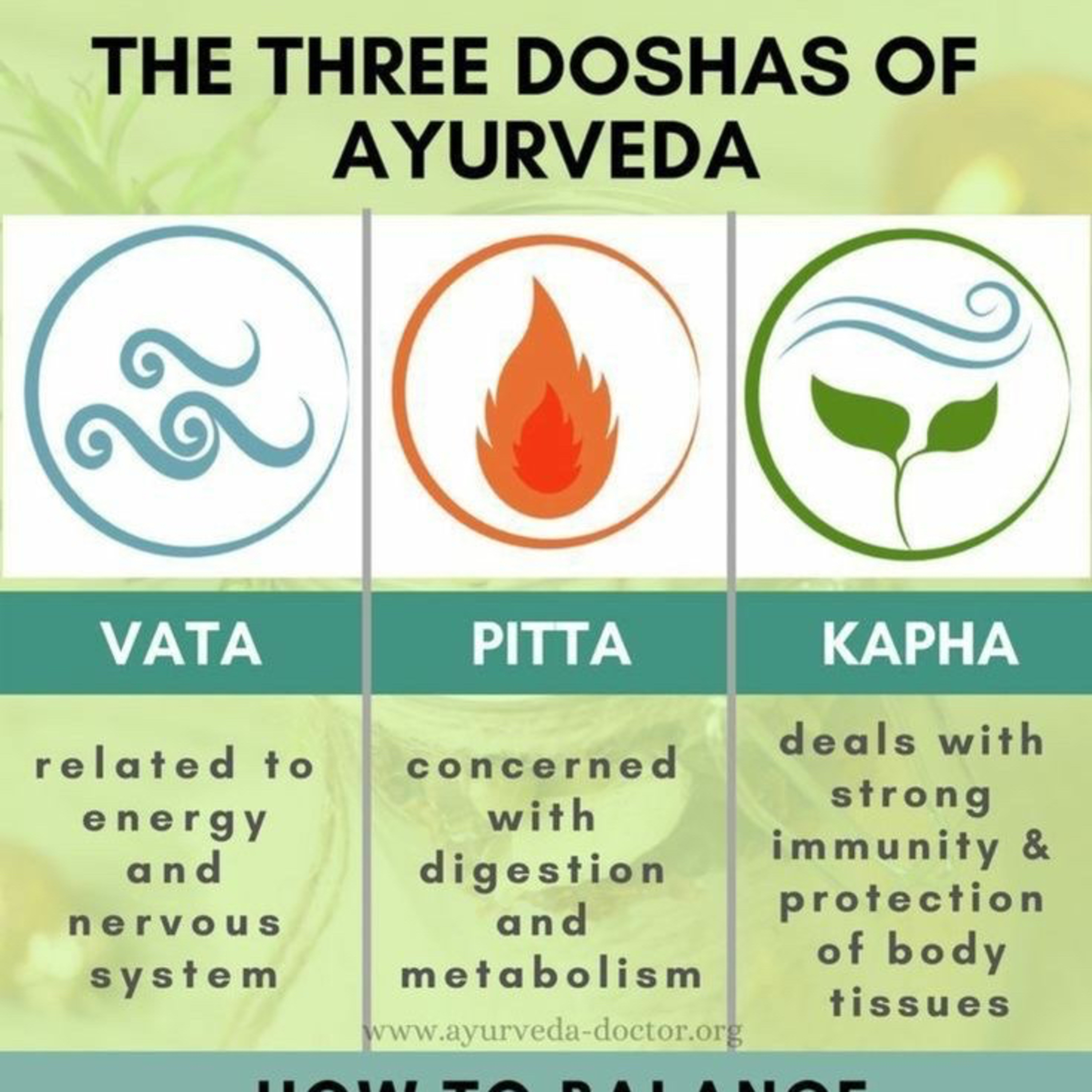 Ayurvedic Medicine| Part 1🌿
