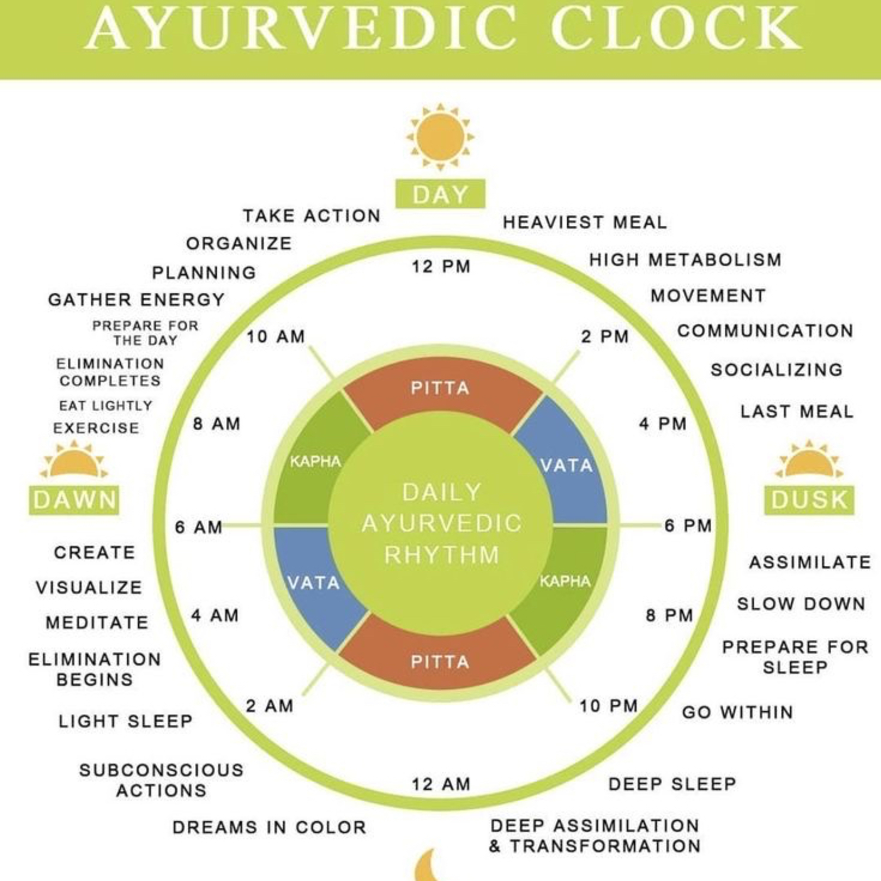 Ayurvedic Medicine| Part 2 🌿