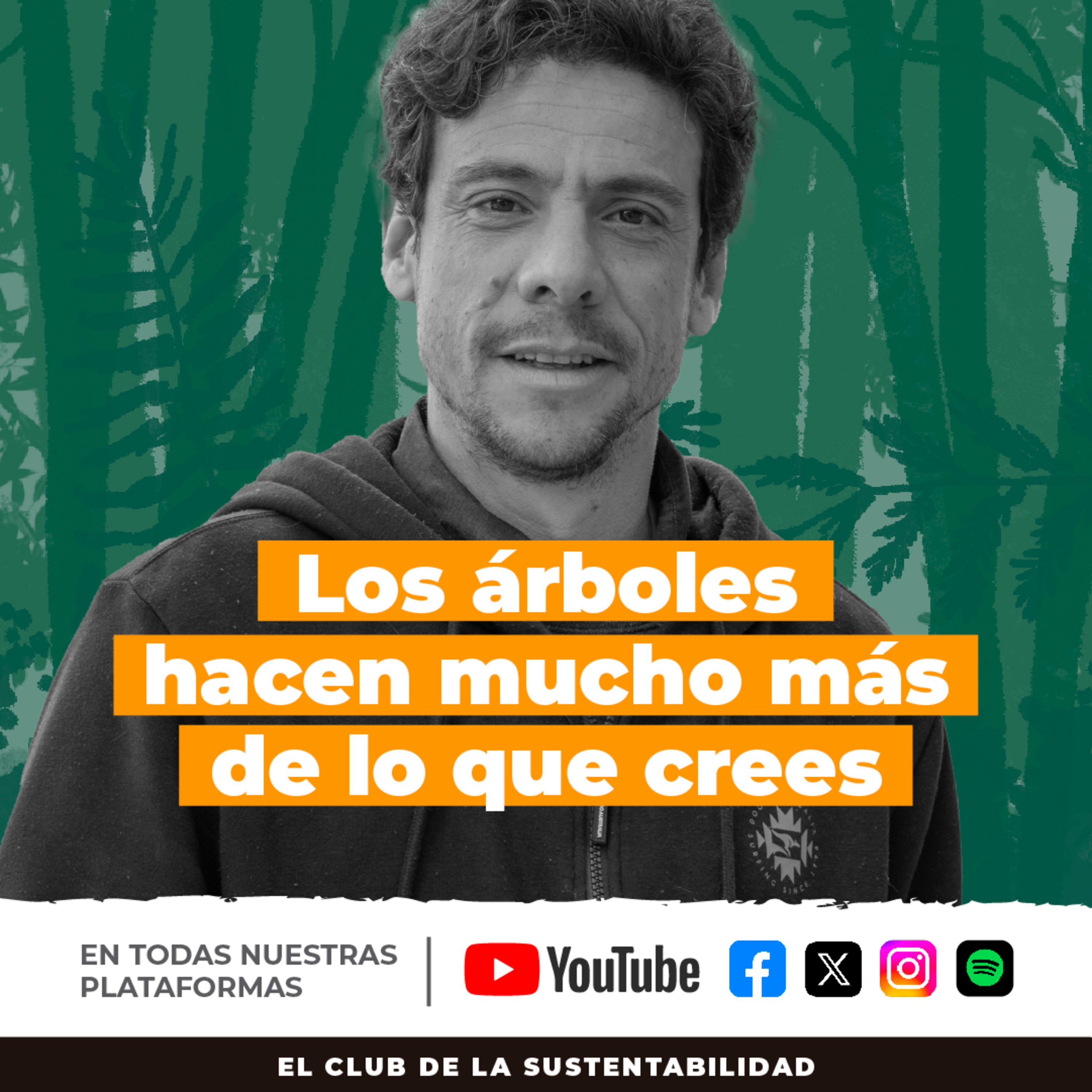 Los árboles pueden bajar 2 grados la temperatura de un barrio completo episode artwork