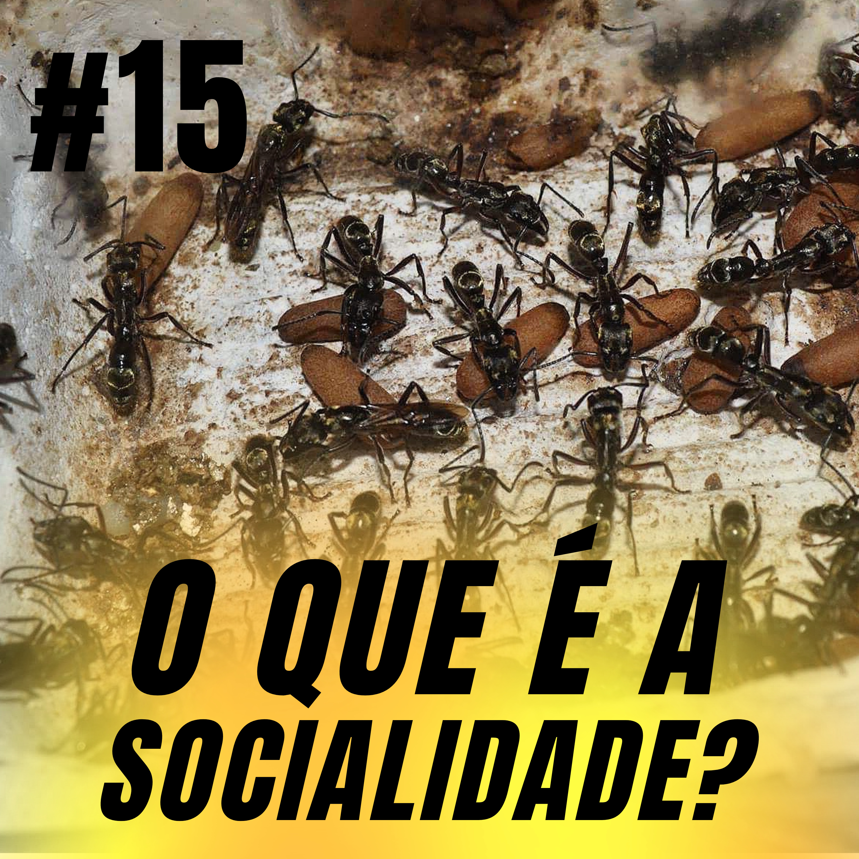 Atiçando o formigueiro