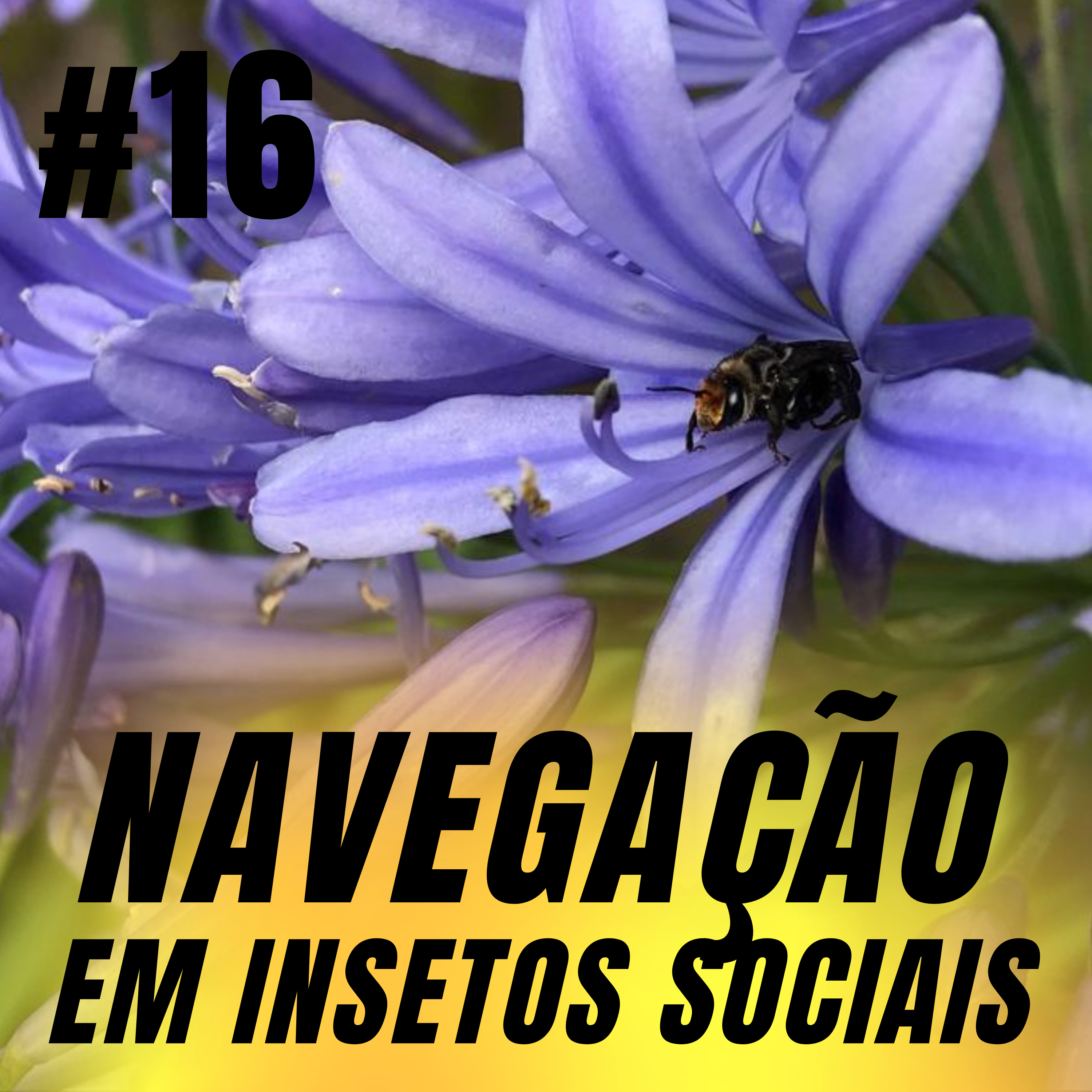 Atiçando o formigueiro