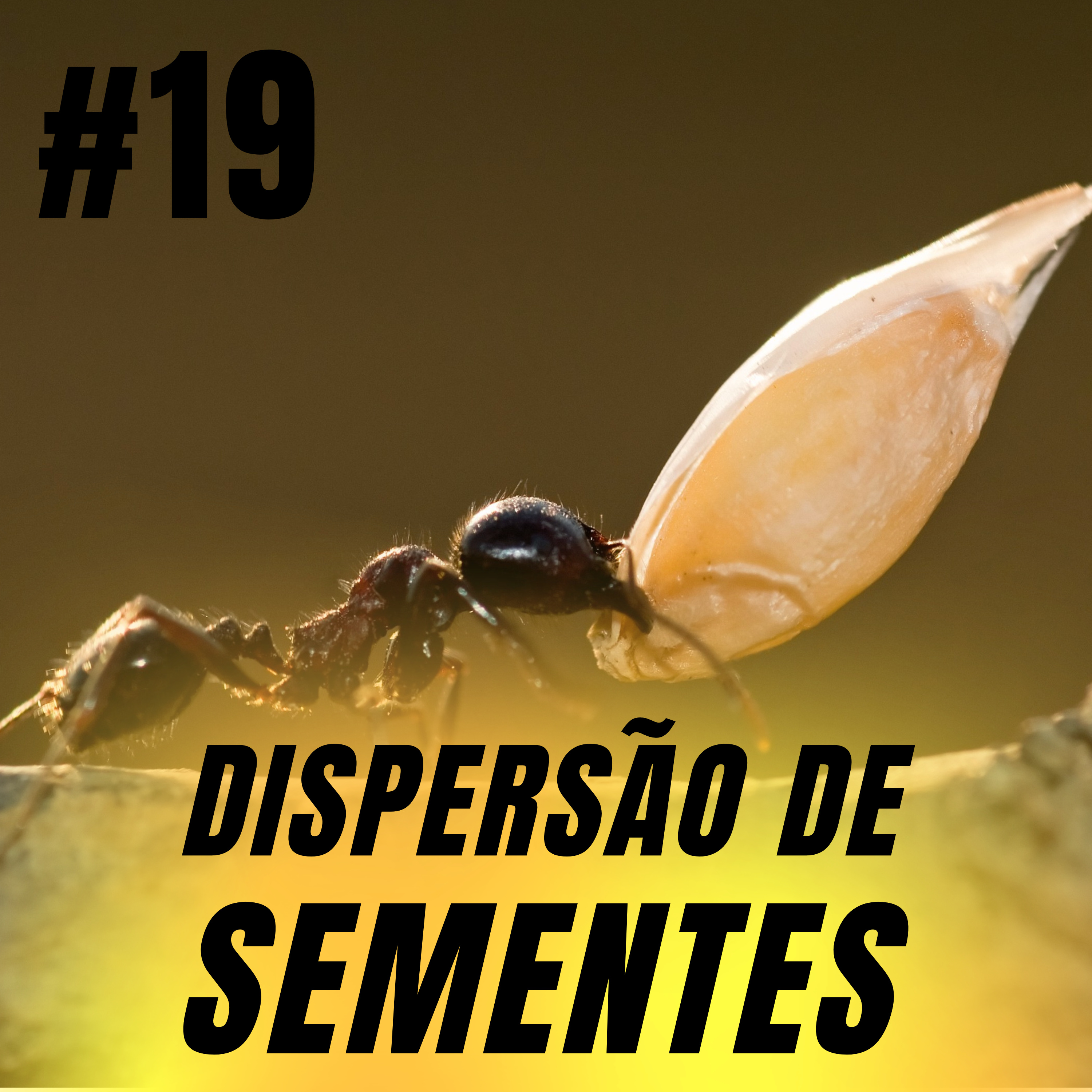 Atiçando o formigueiro