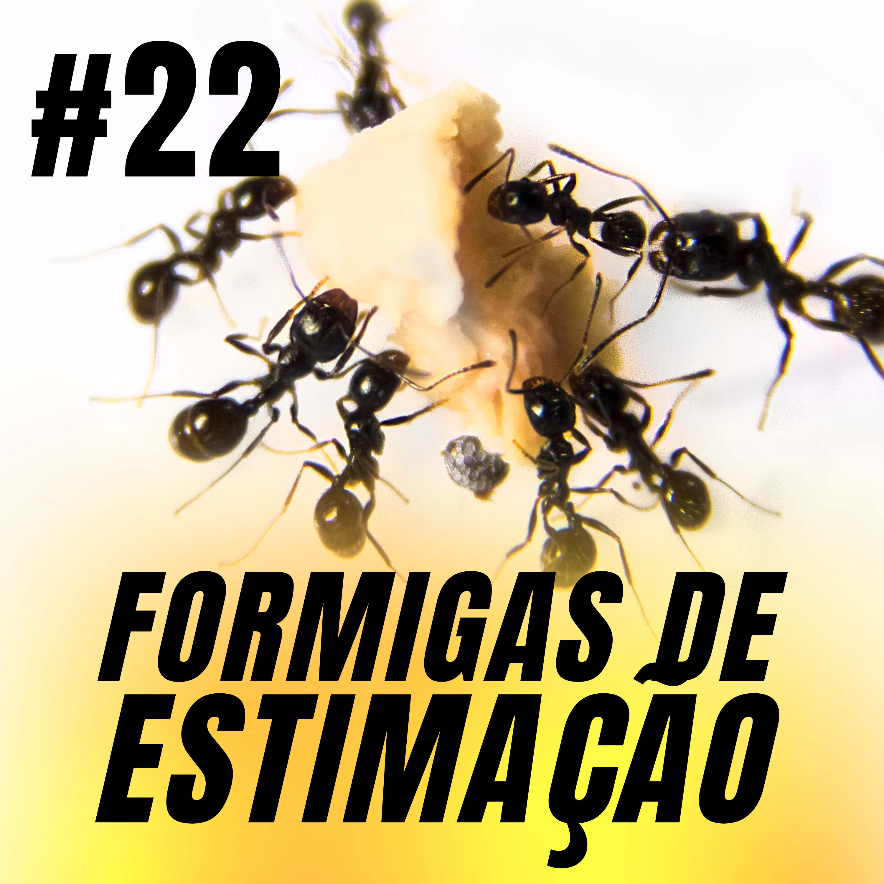 Atiçando o formigueiro