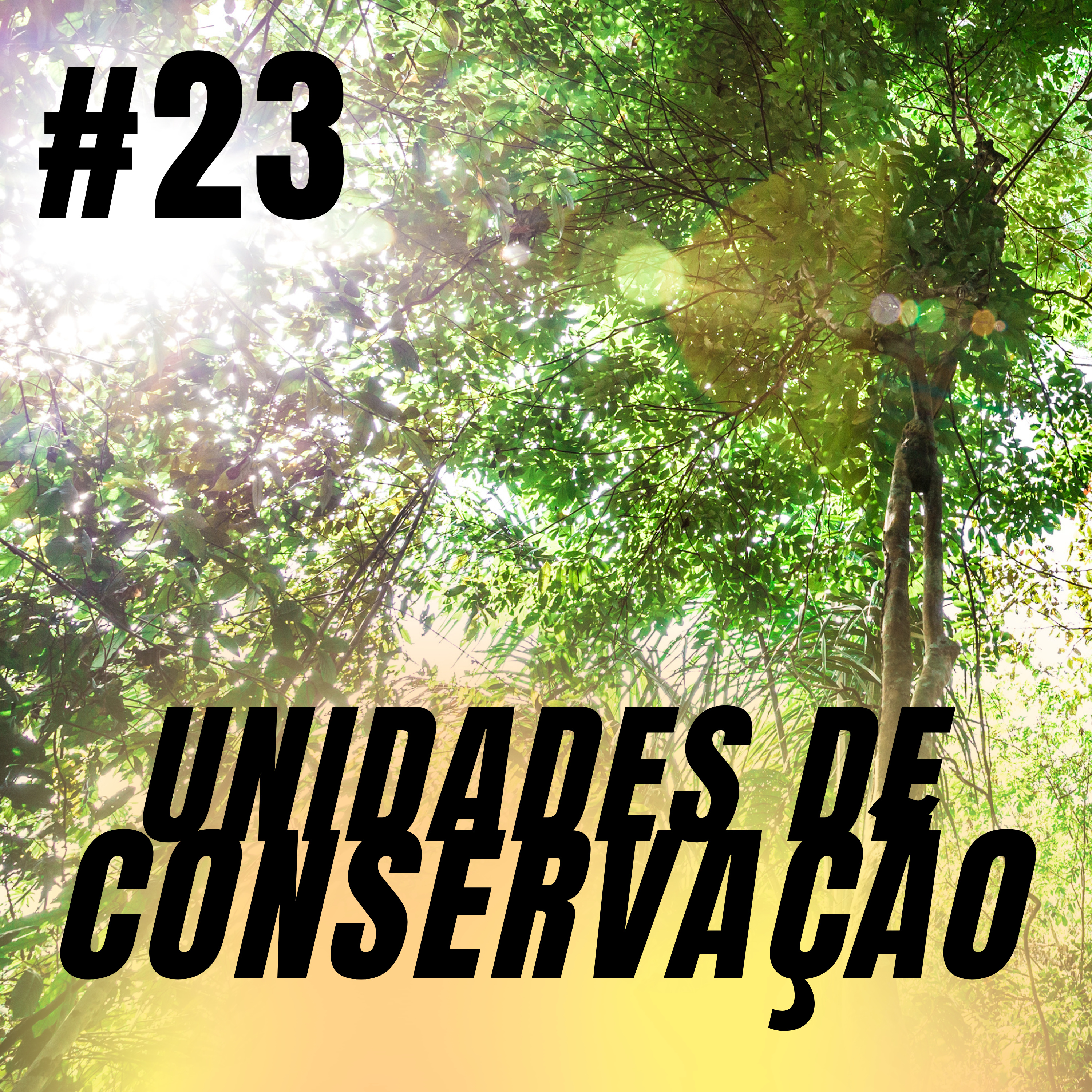 Atiçando o formigueiro
