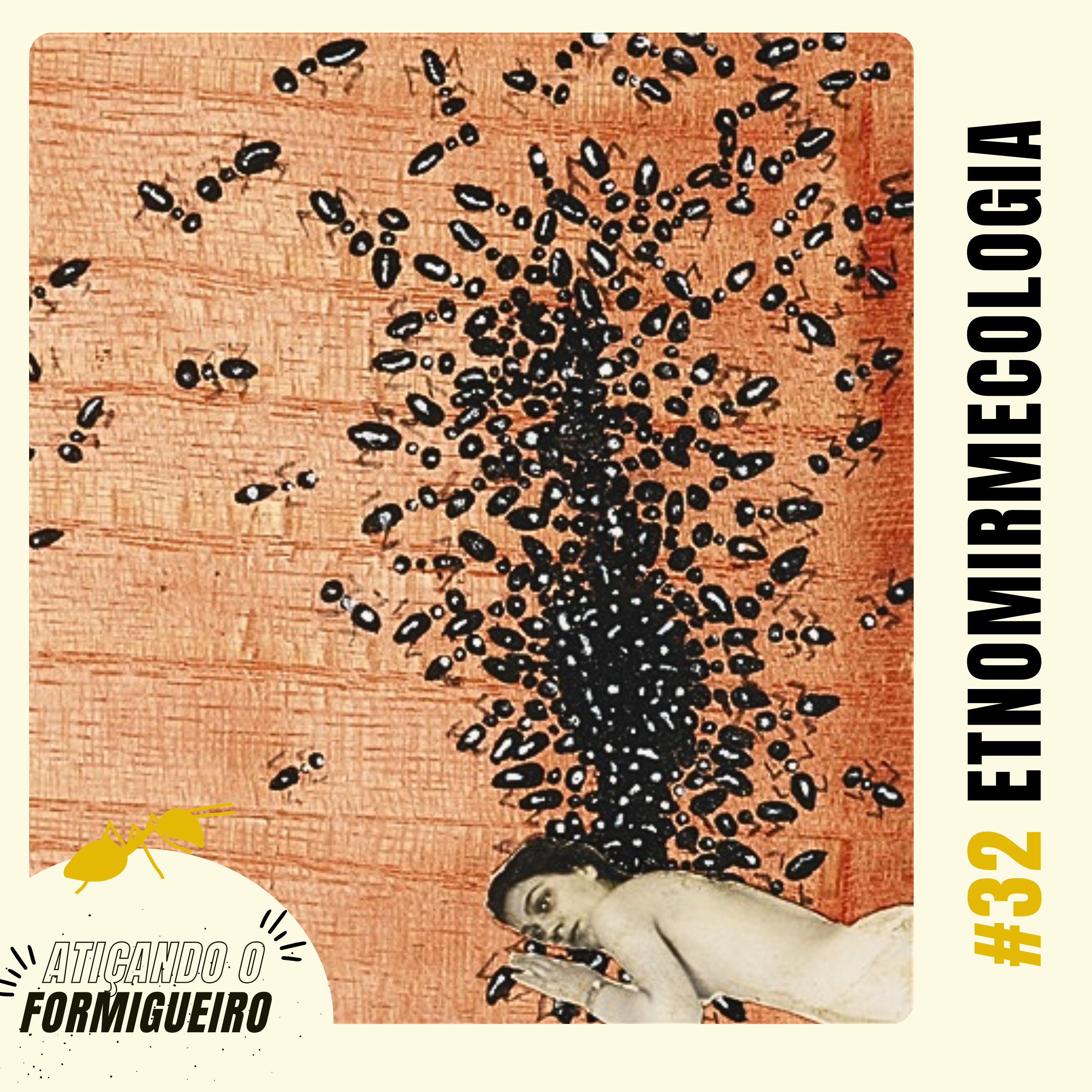 Atiçando o formigueiro