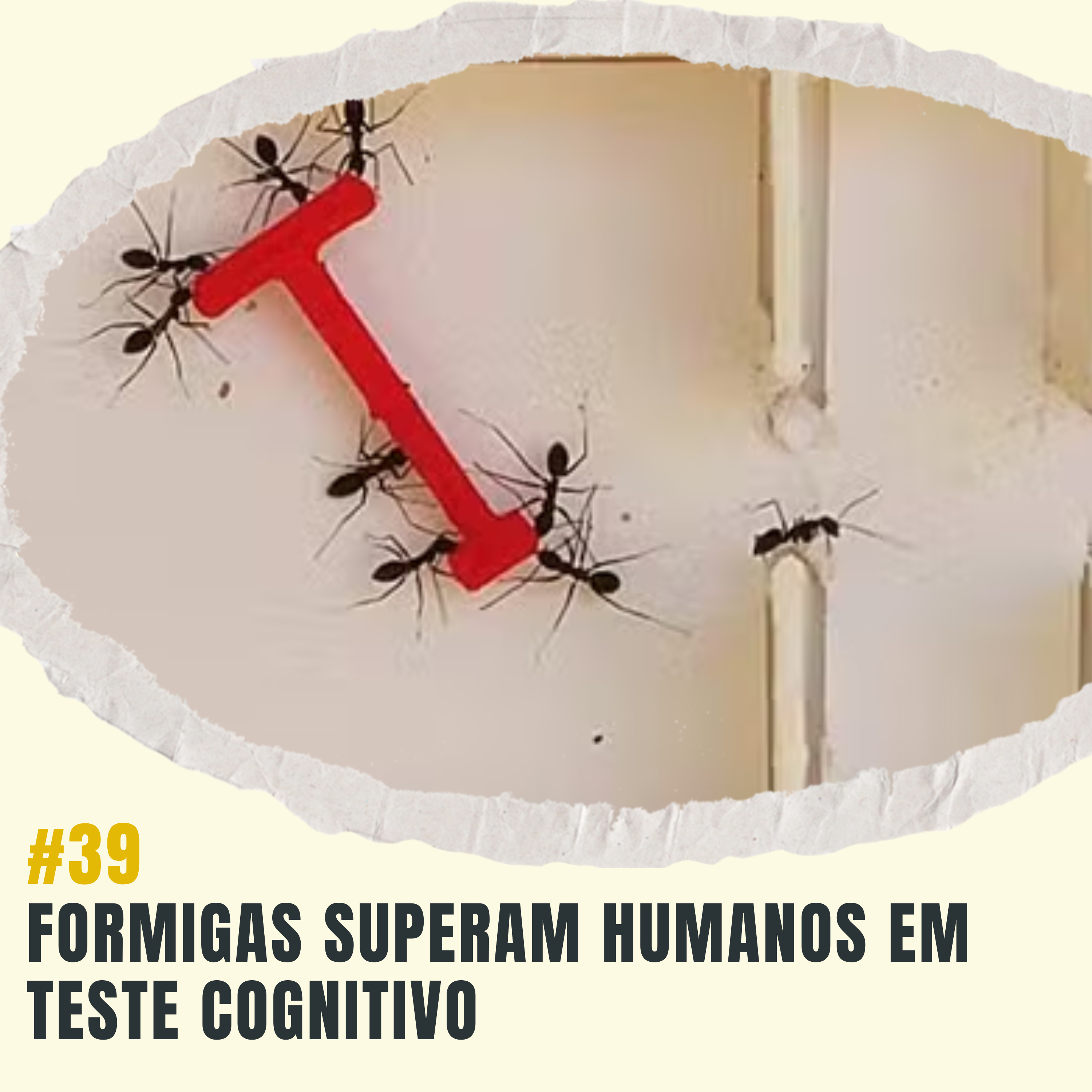 Atiçando o formigueiro