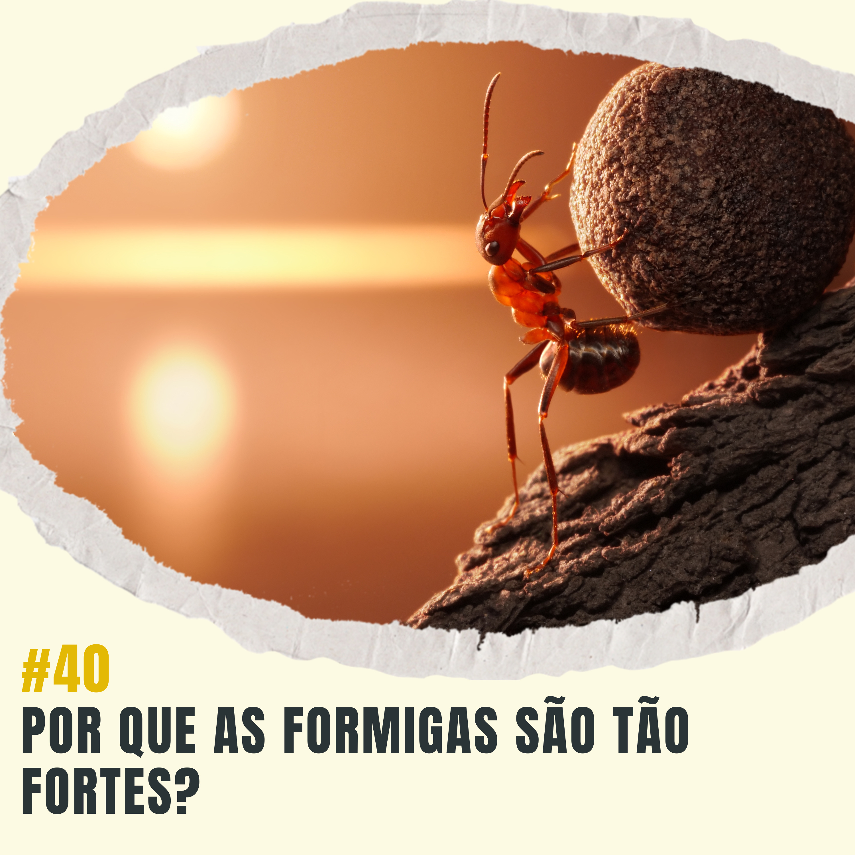 Atiçando o formigueiro