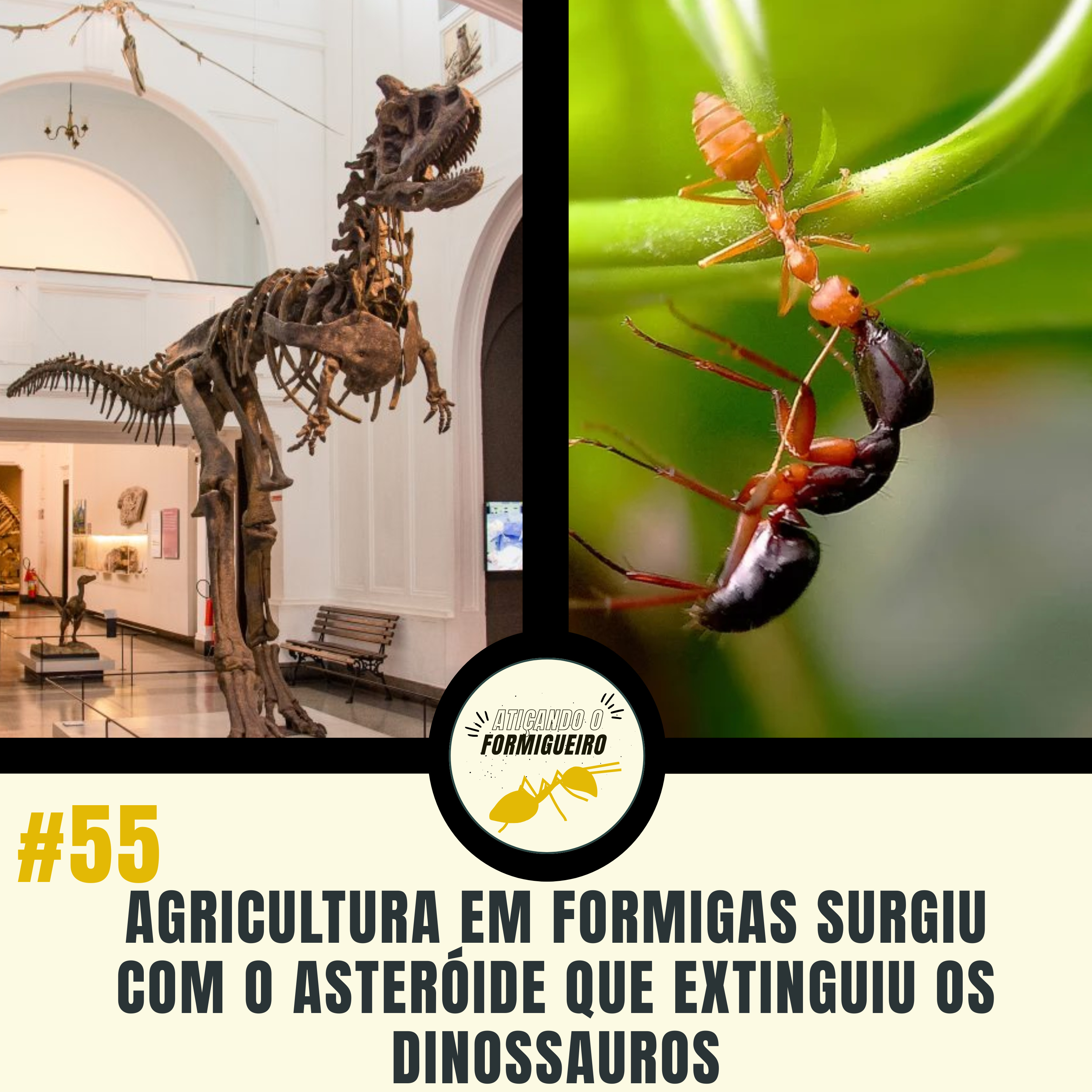 #55 Agricultura em formigas surgiu com o asteróide que extinguiu os dinossauros episode artwork