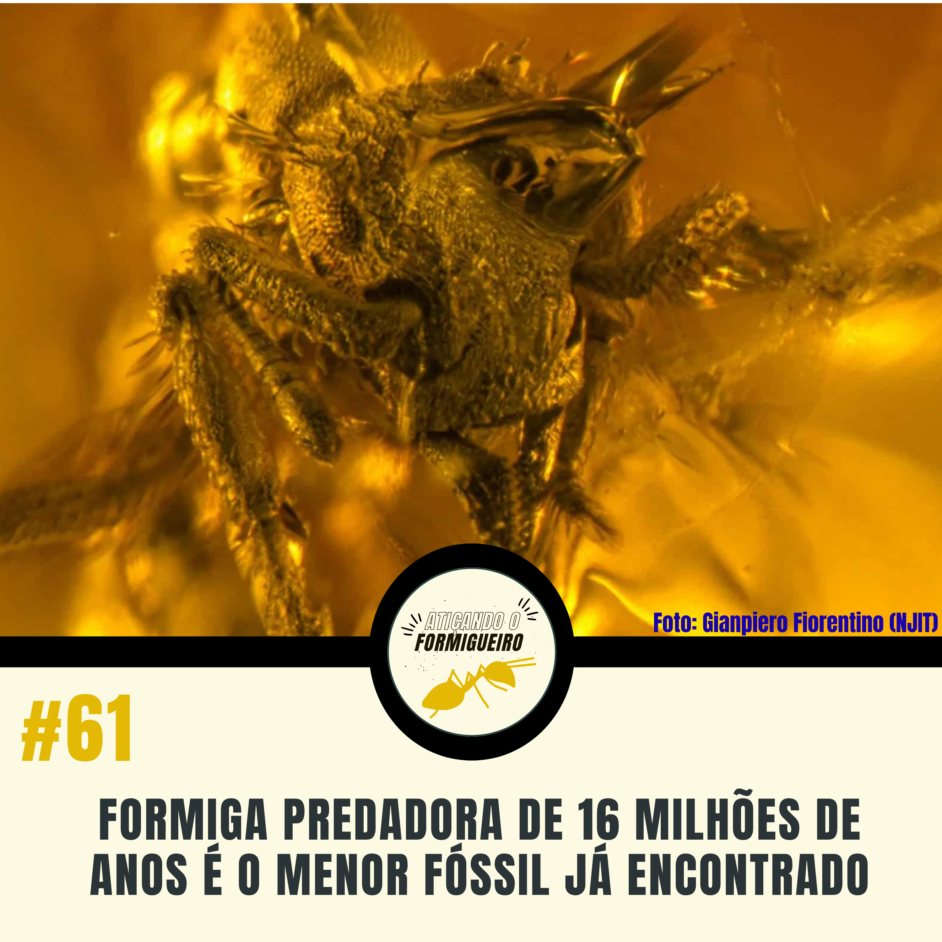 #61 Formiga predadora de 16 milhões de anos é o menor fóssil já encontrado episode artwork