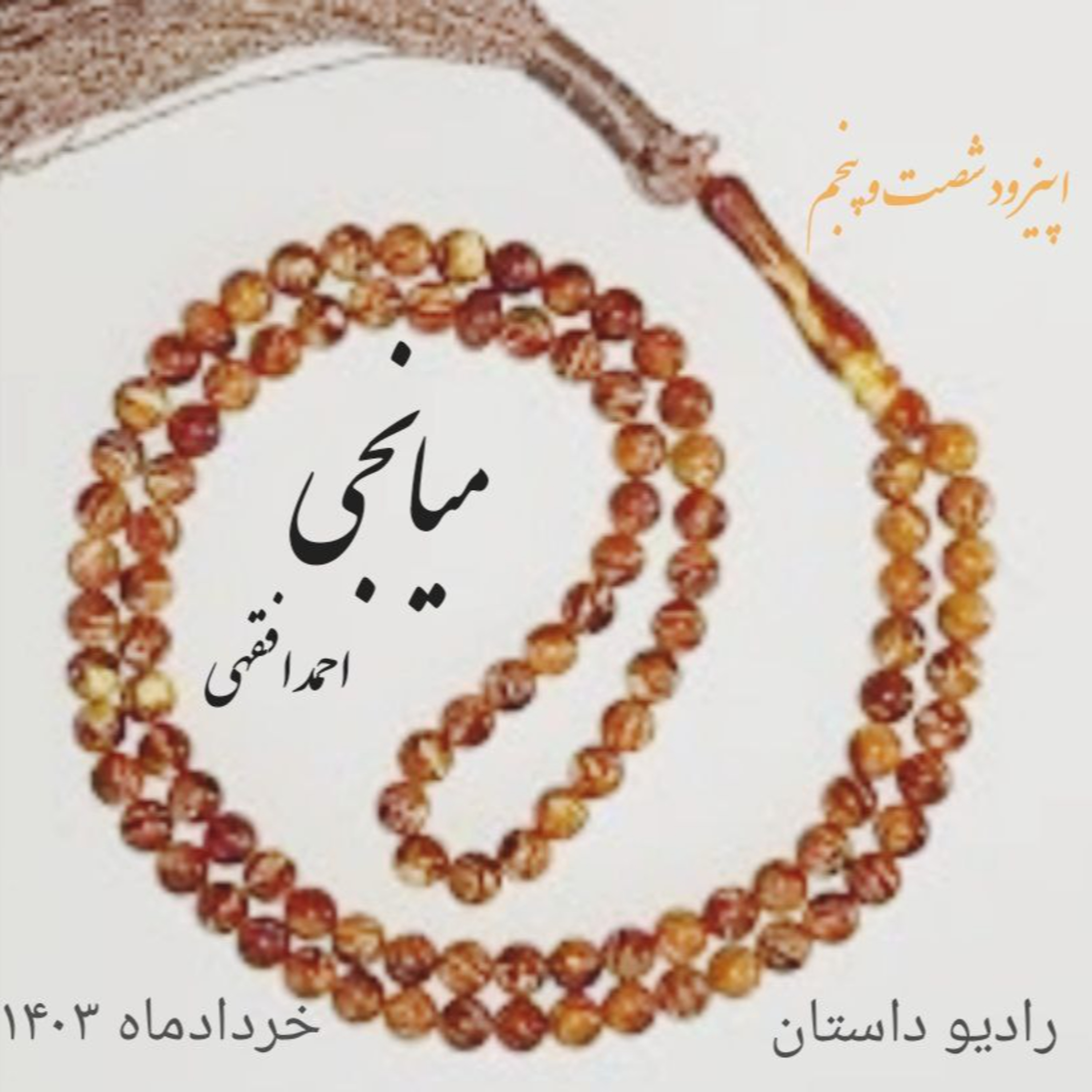 اپیزود شصت و پنجم -میانجی - احمد افقهی
