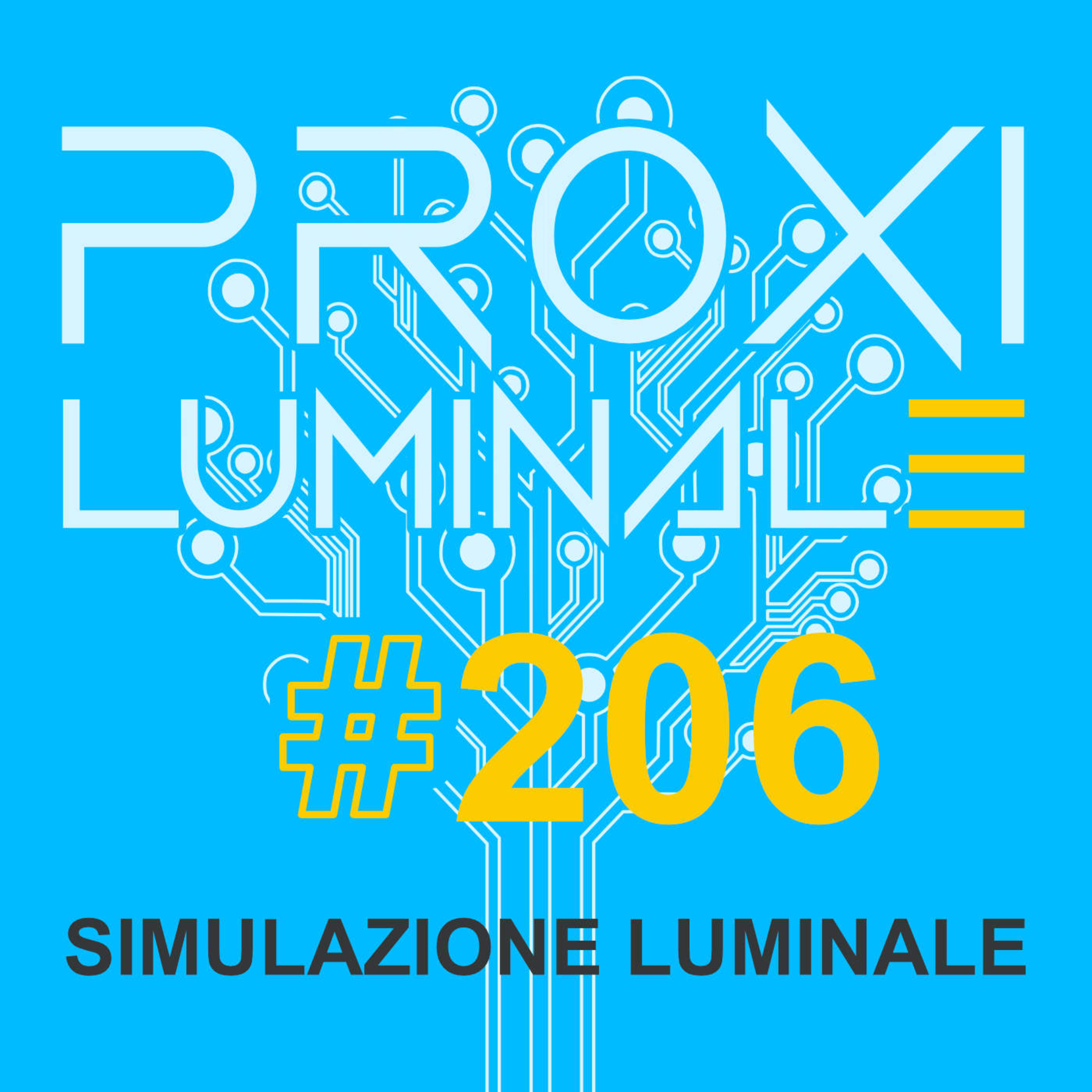 #206 Simulazione Luminale