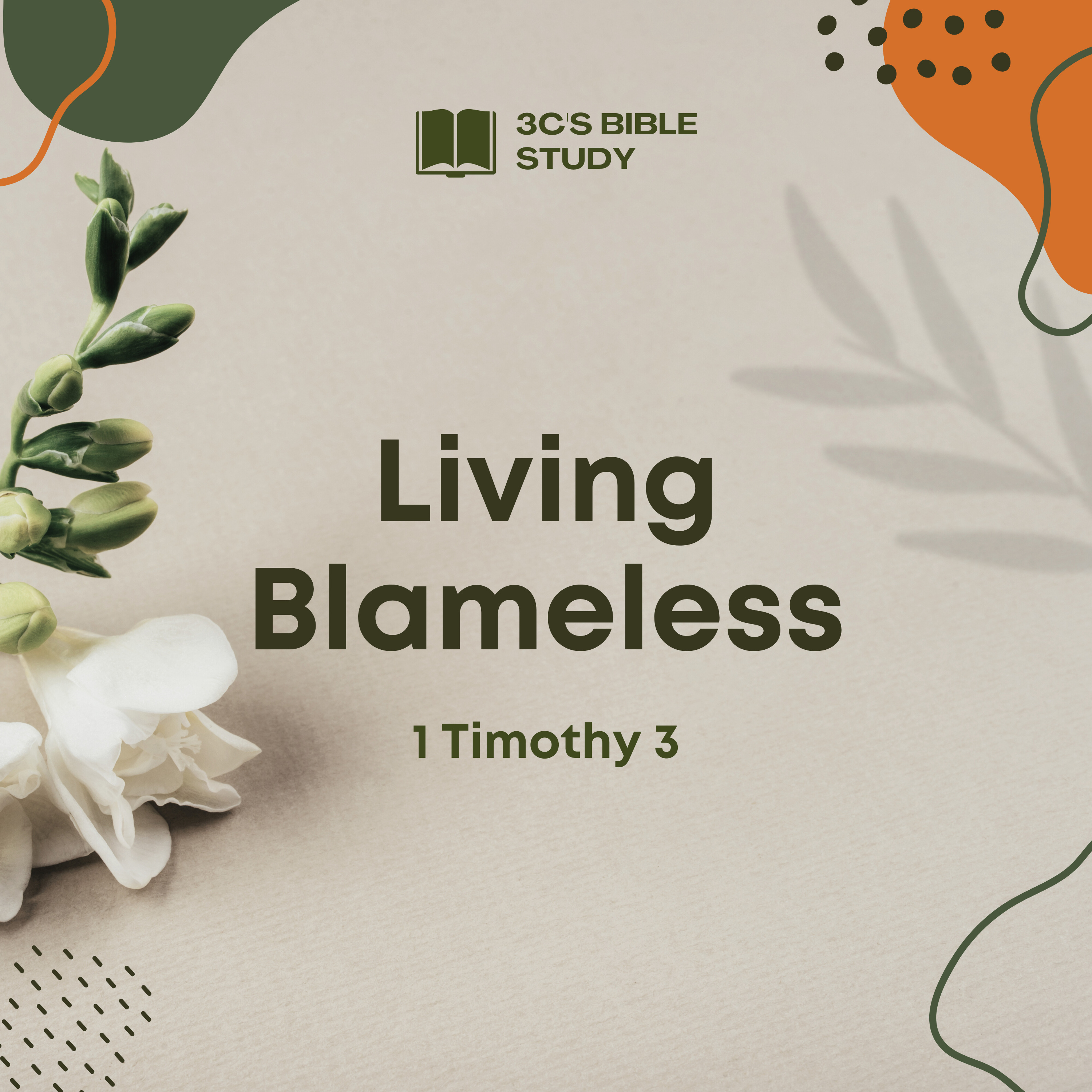 1 Timothy 3 - Living Blamelessly
