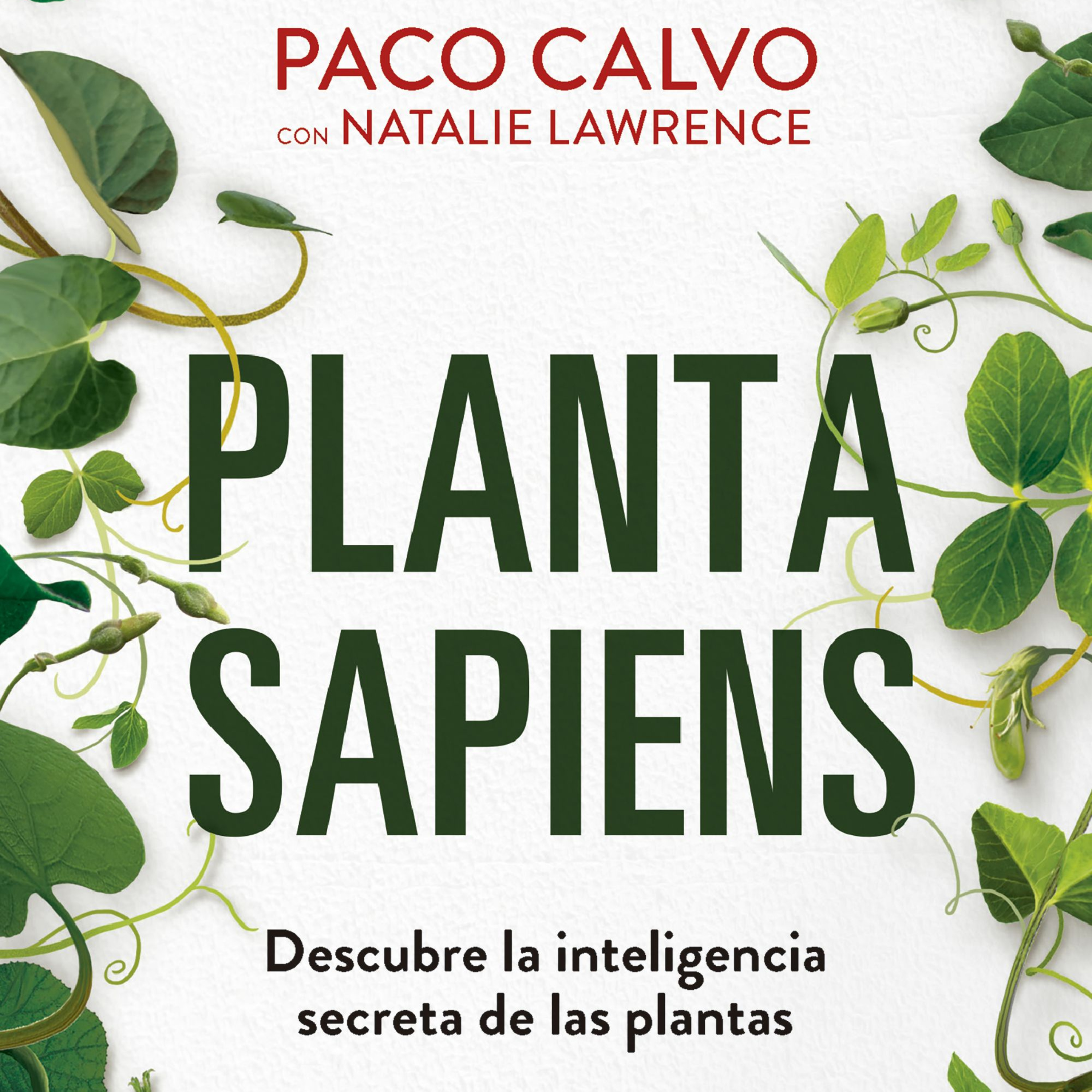 Portada de Hitos de la historia