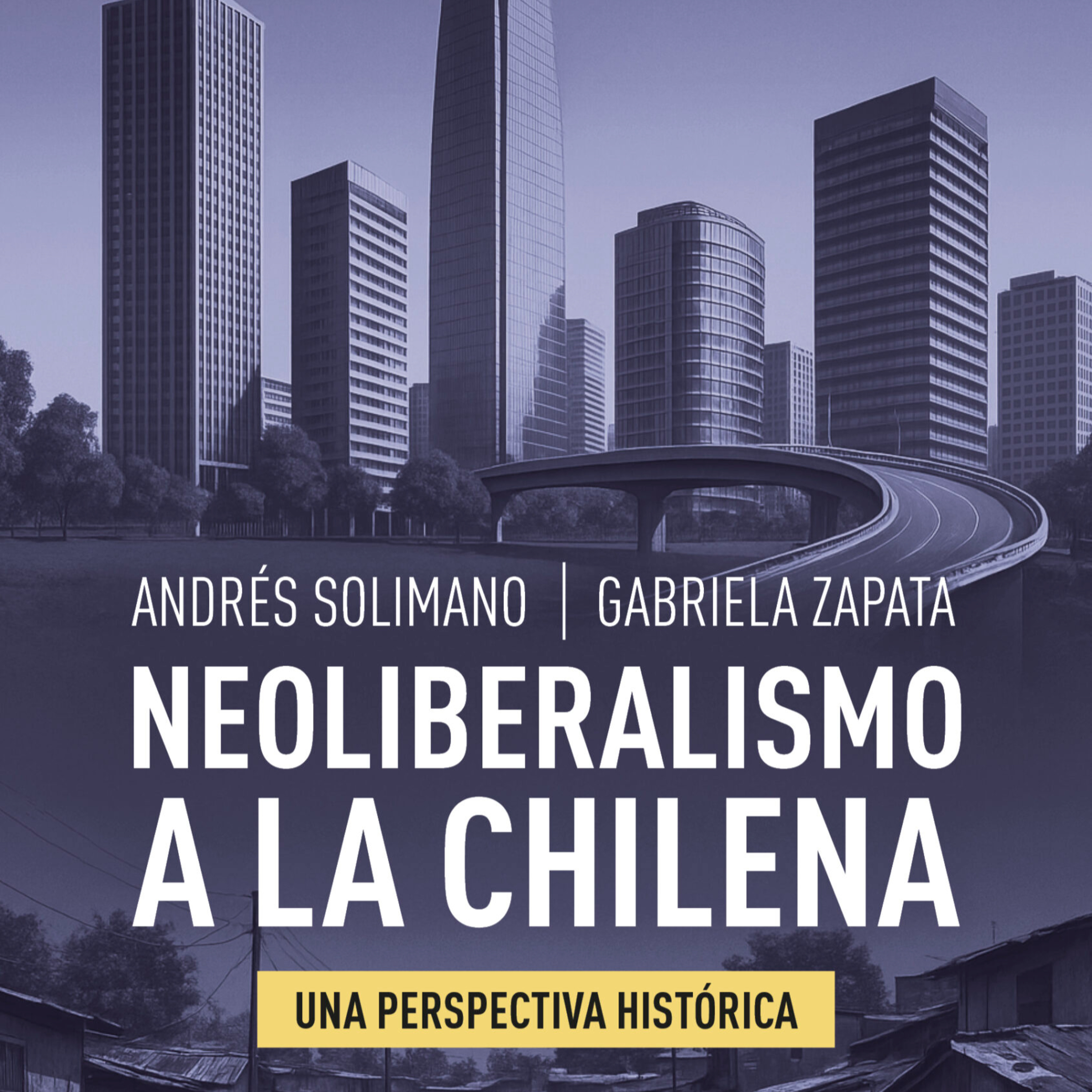 Andrés Solimano coautor de neoliberalismo a la chilena