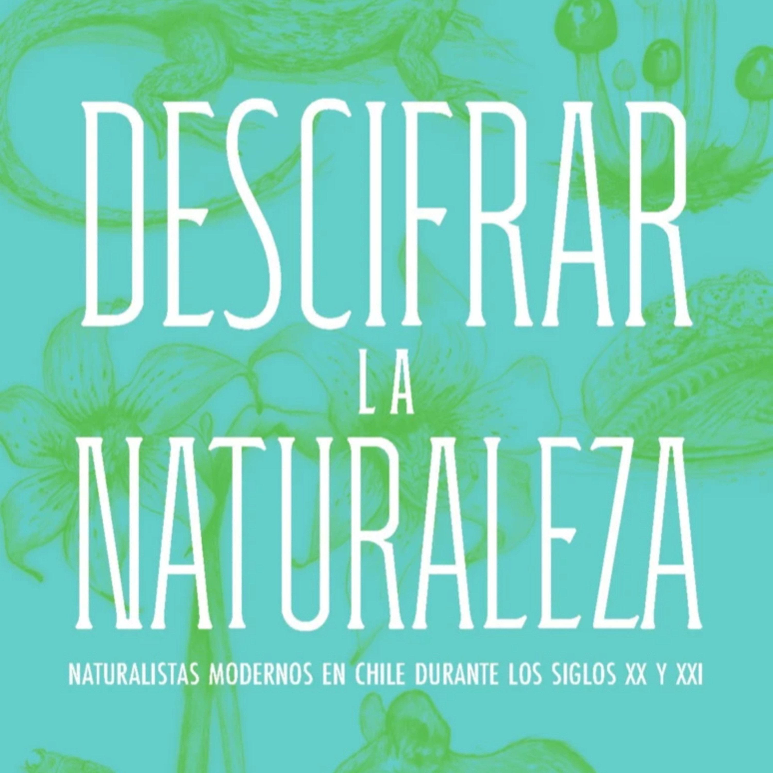 Bárbara Tupper y su libro descifrar la naturaleza