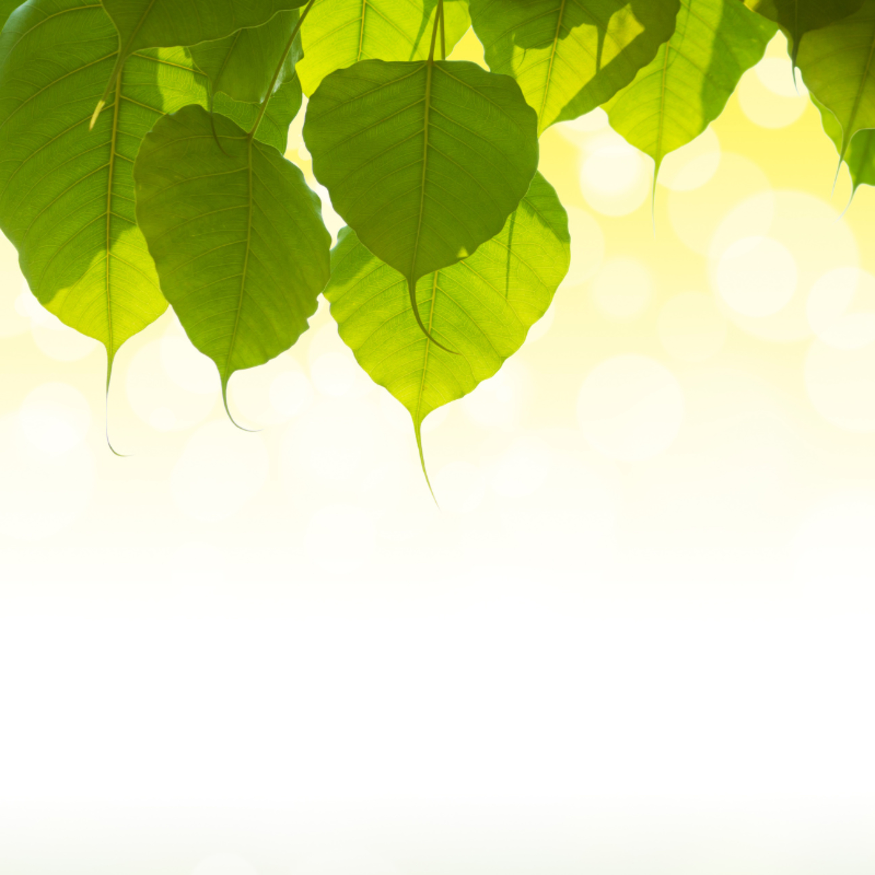 Colorindo a alma - Contos e inspirações para o fortalecimento interior