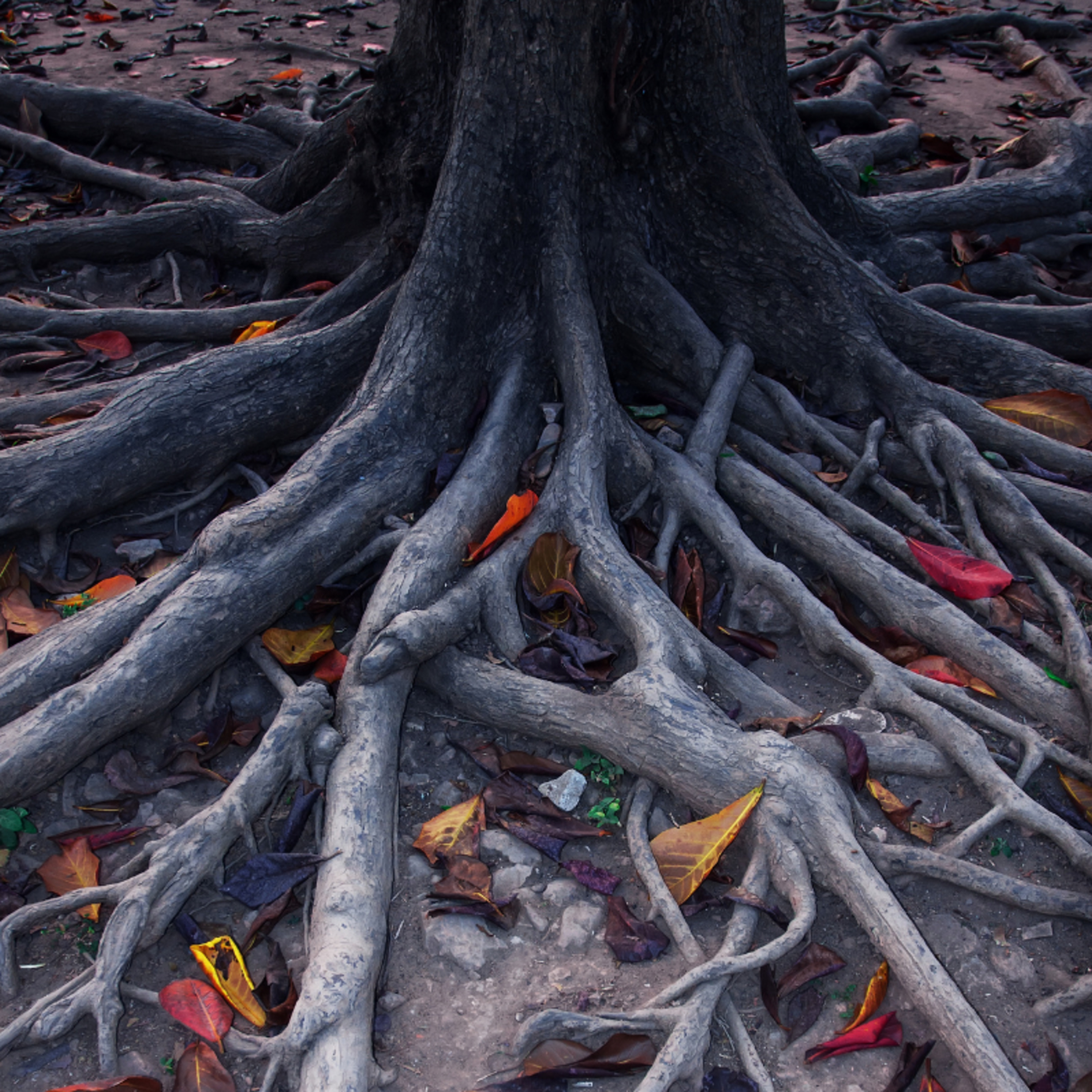 Colorindo a alma - Contos e inspirações para o fortalecimento interior