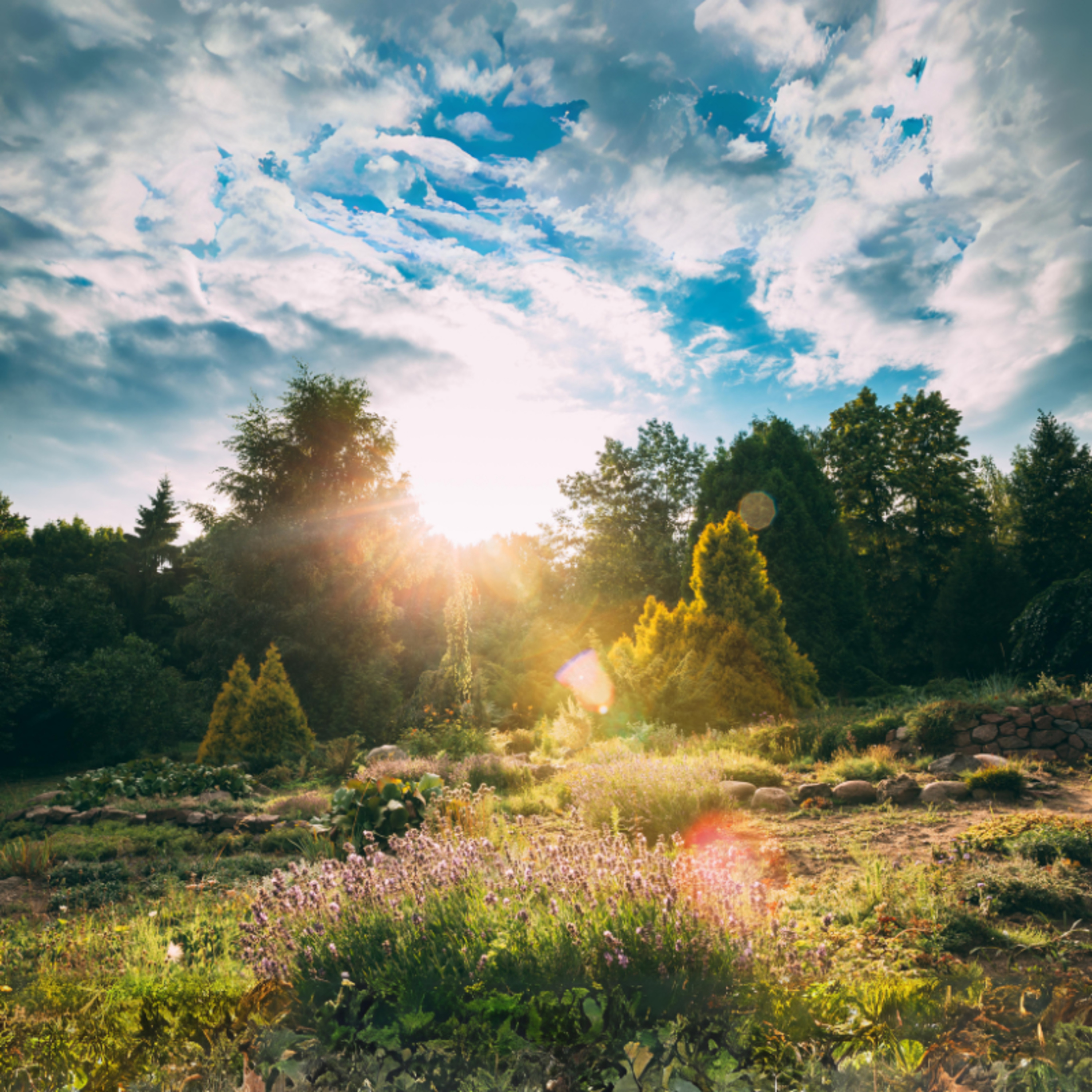 Colorindo a alma - Contos e inspirações para o fortalecimento interior