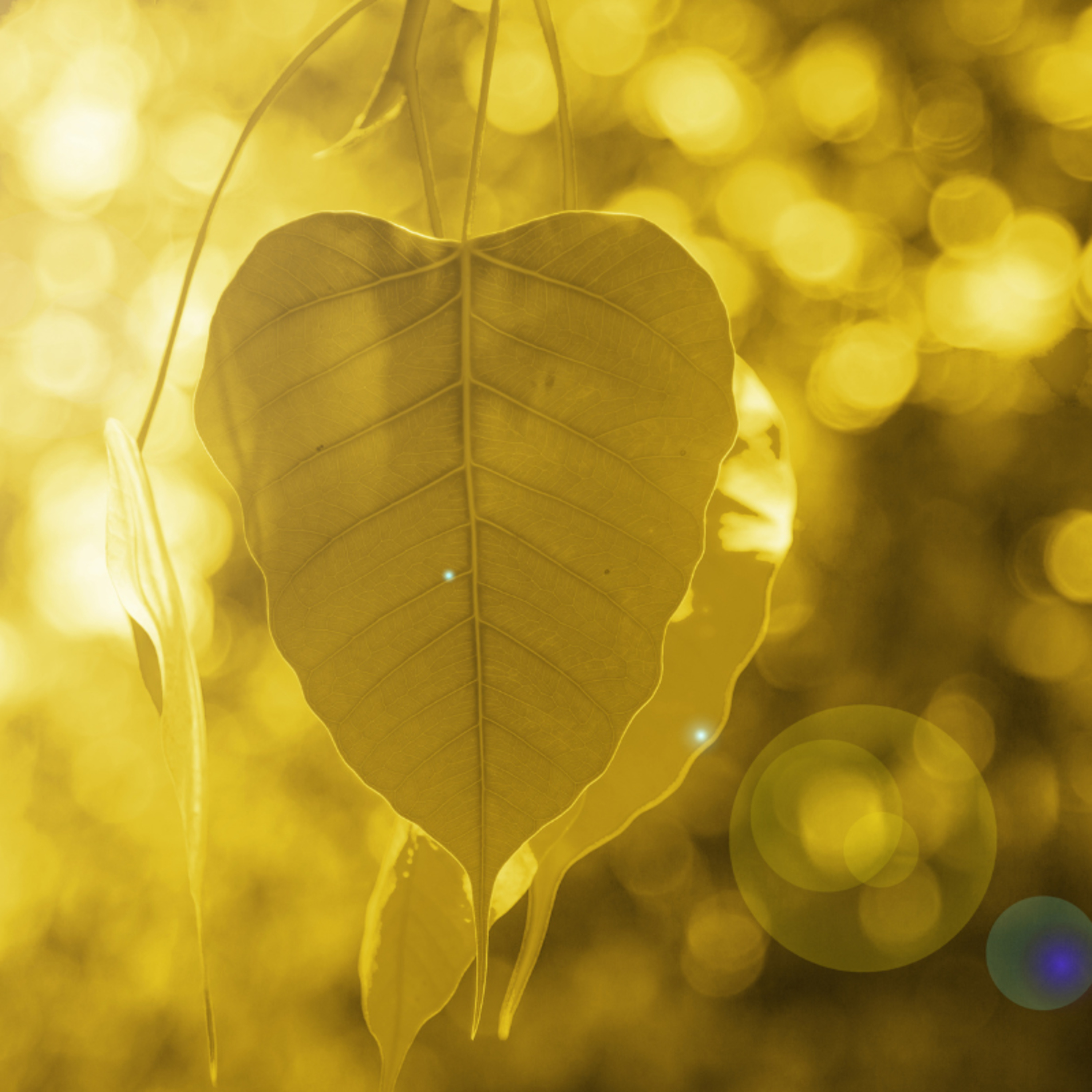 Colorindo a alma - Contos e inspirações para o fortalecimento interior