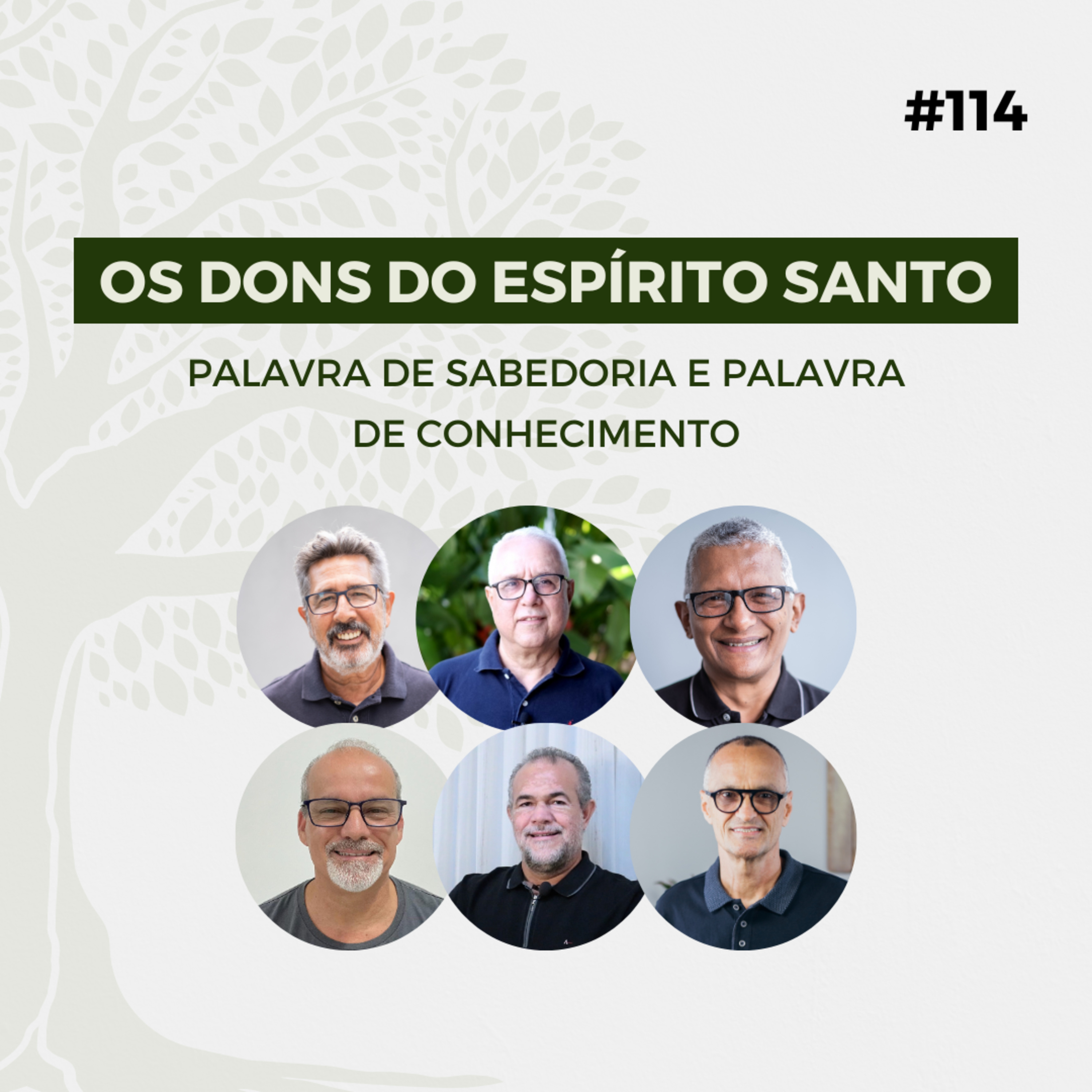 #114 - Os dons do Espírito Santo: Palavra de sabedoria e palavra de conhecimento - Live completa episode artwork
