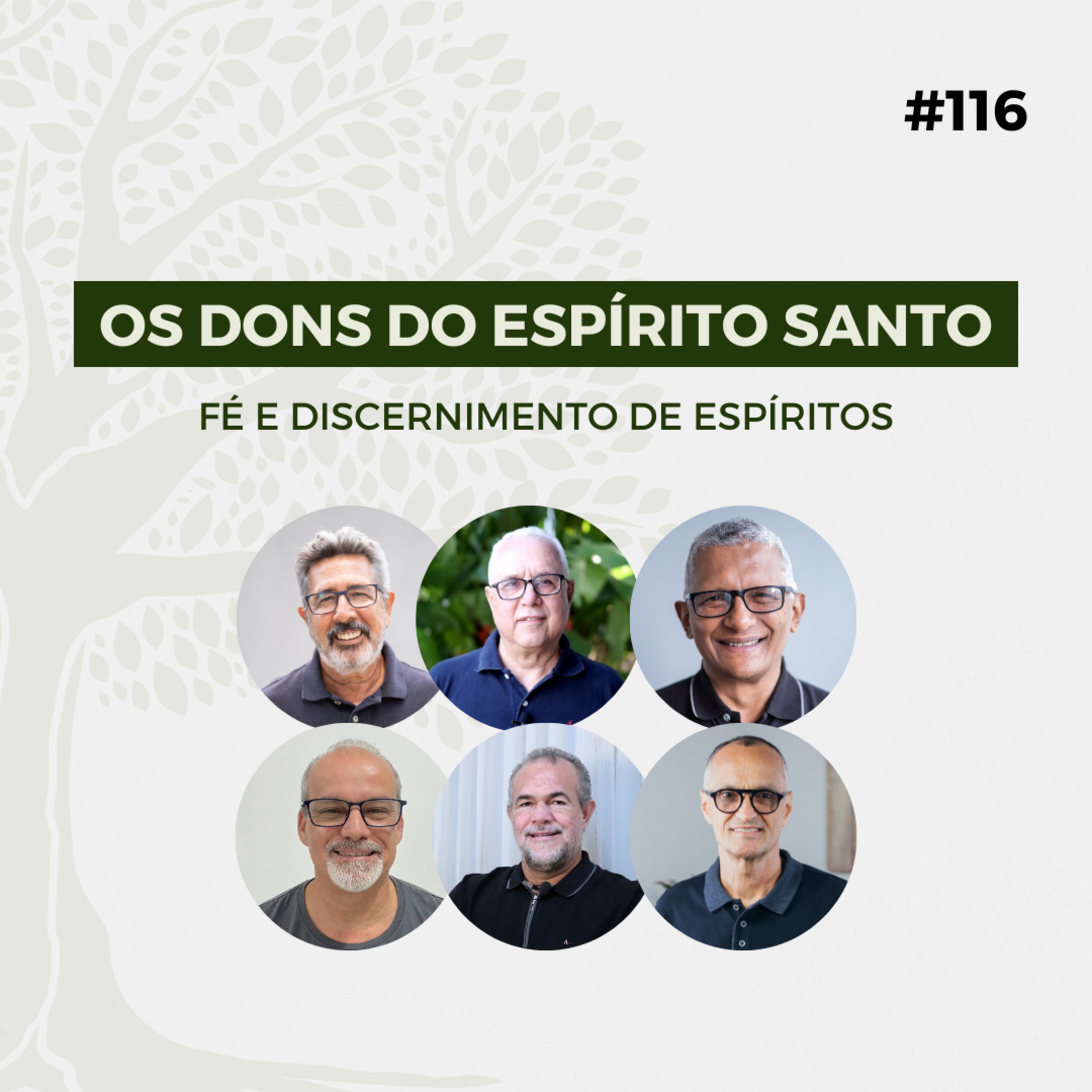 #116 - Os dons do Espírito Santo: Fé e discernimento de espíritos - Live completa episode artwork