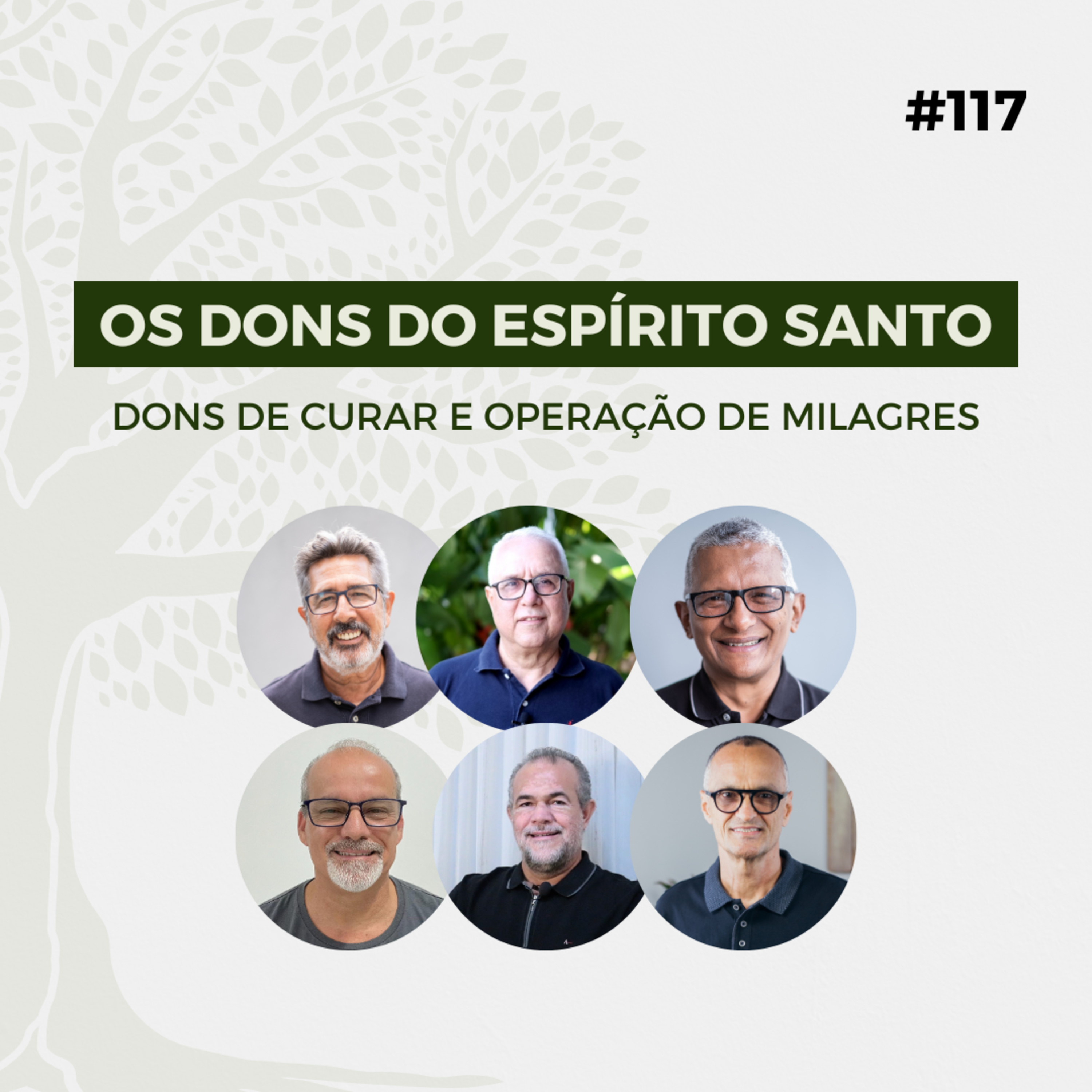 #117 - Os dons do Espírito Santo: Dons de curar e operações de milagres - Live completa episode artwork