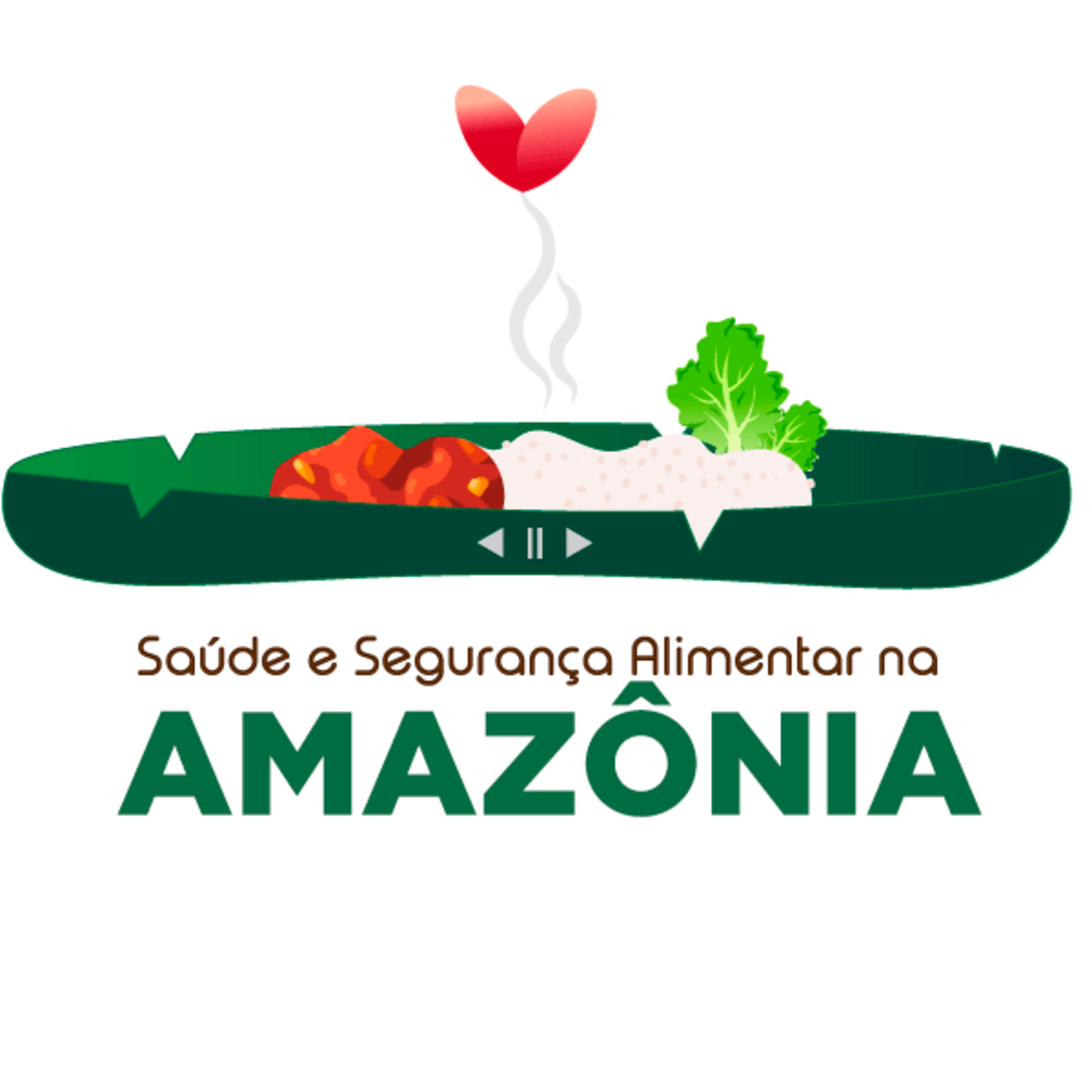 Rede de Notícias da Amazônia