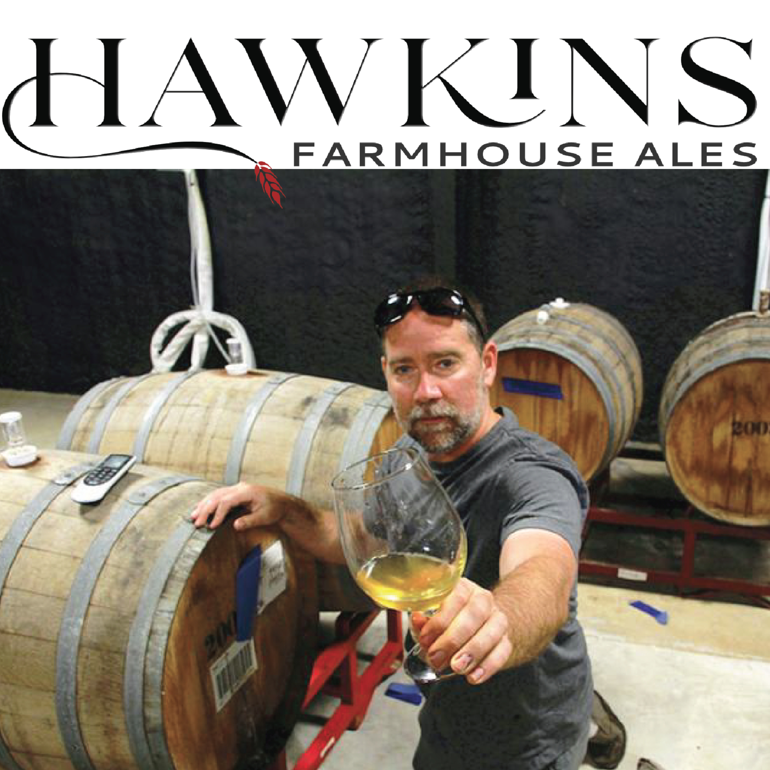 How NOT To Start A Damn Brewery: the podcast