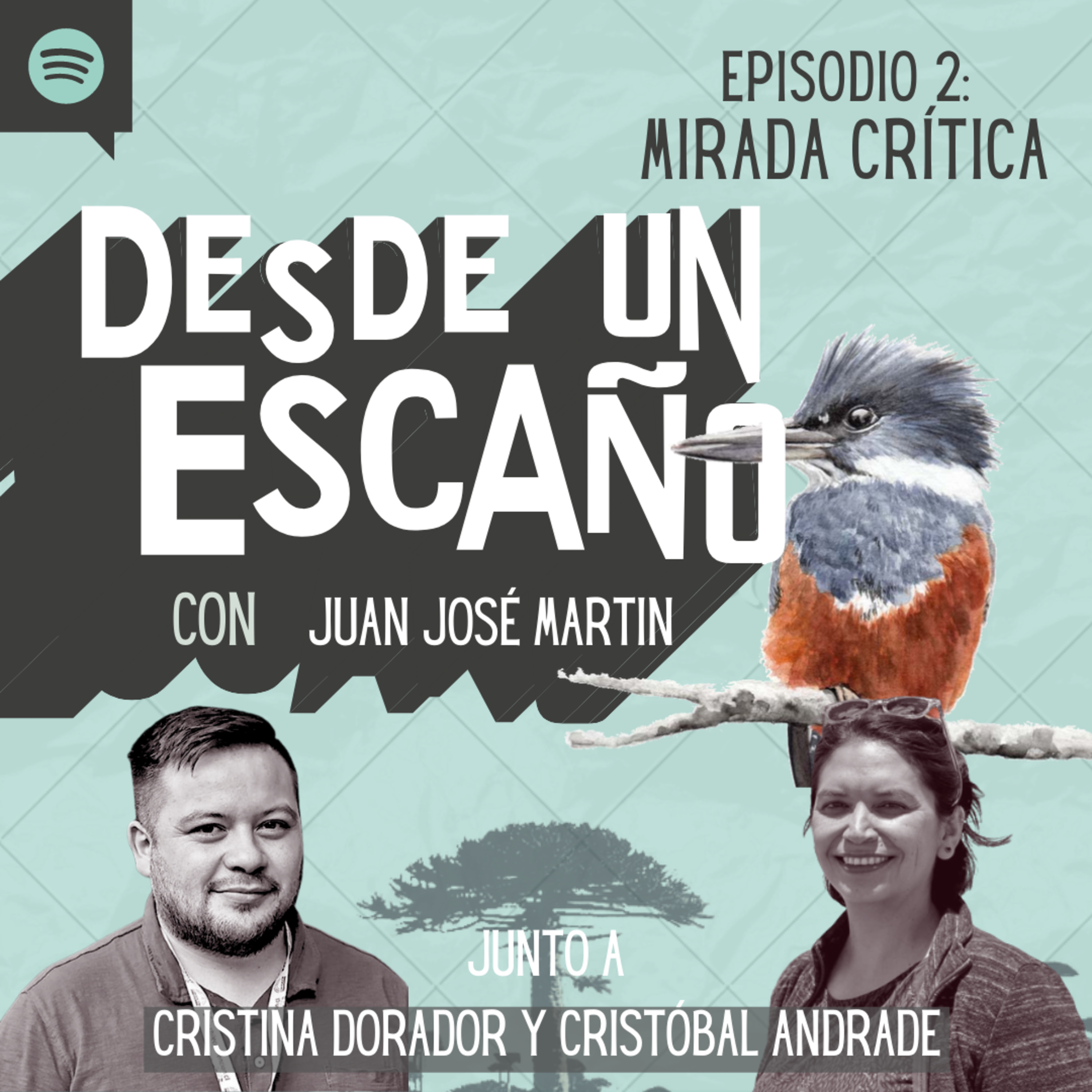 Desde un Escaño de la Convención